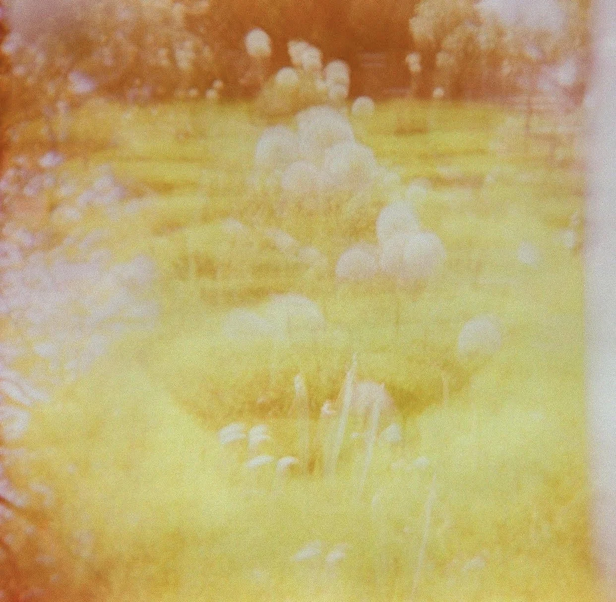 photos: julie schuchard