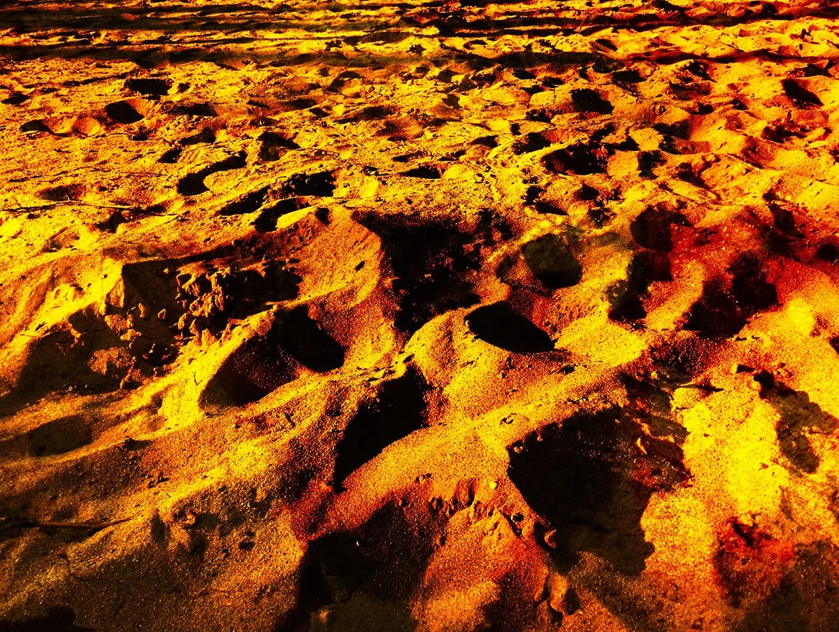 photo series: katalin pusztaszeri