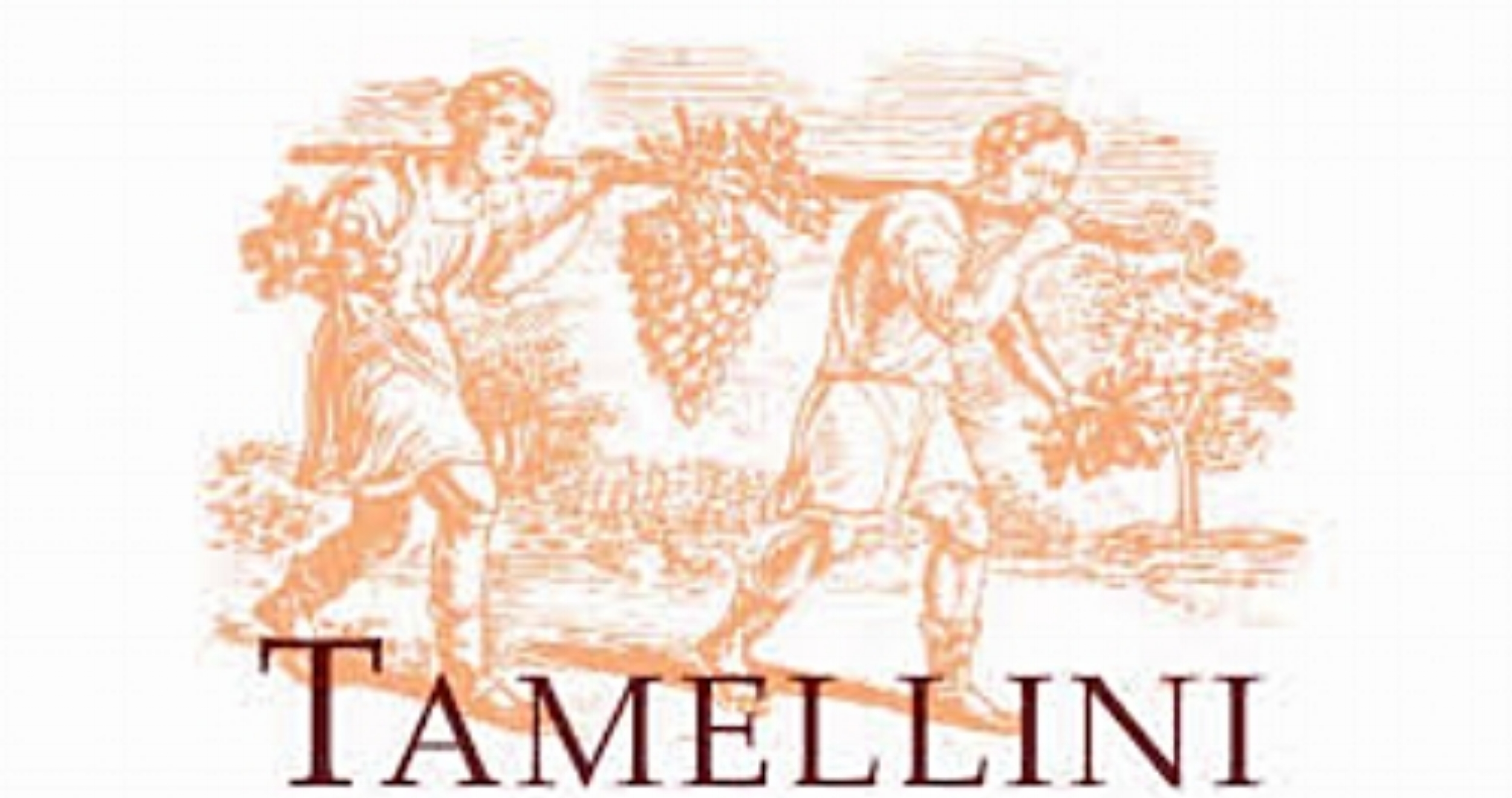 Azienda Agricola Tamellini