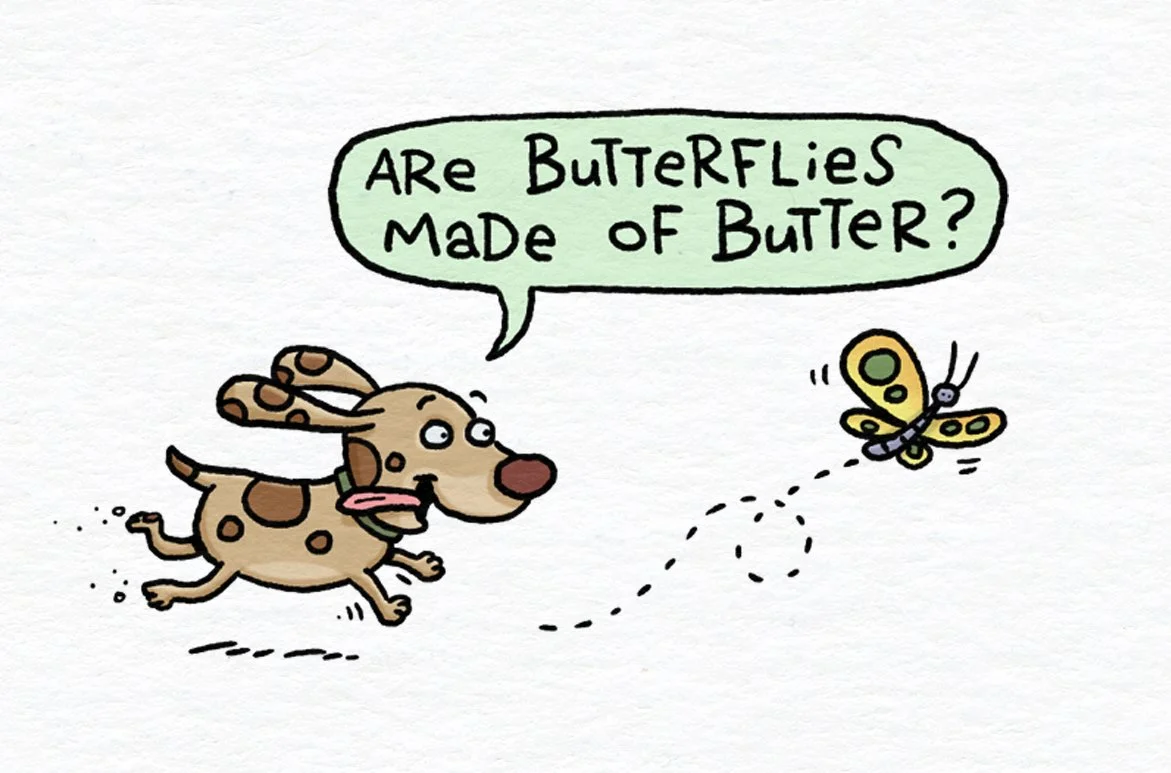 Pickles Chasing Butterfly.jpg