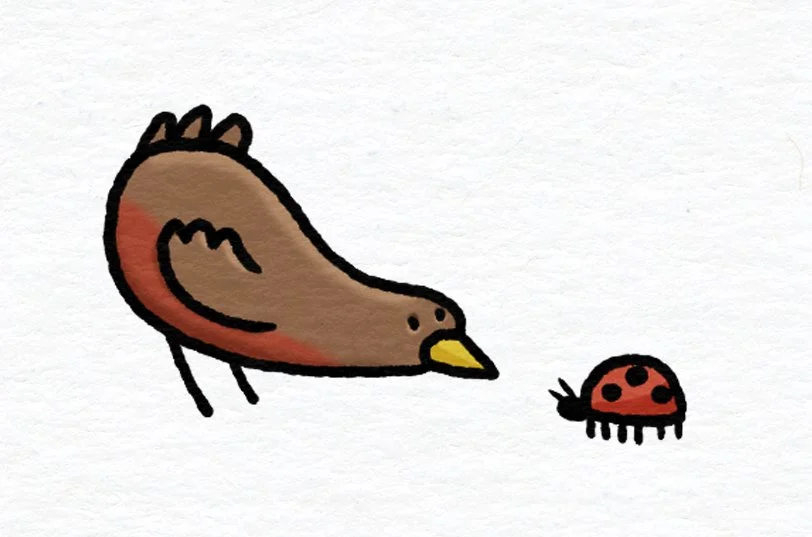Robin and Ladybug.jpg