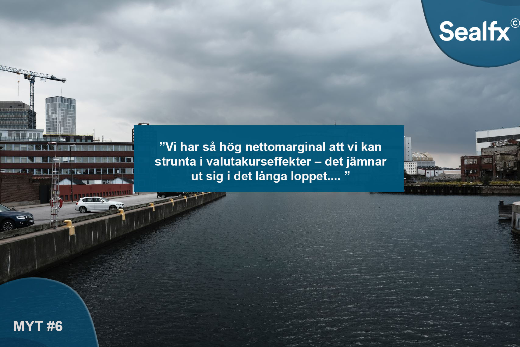 myt6.jpg