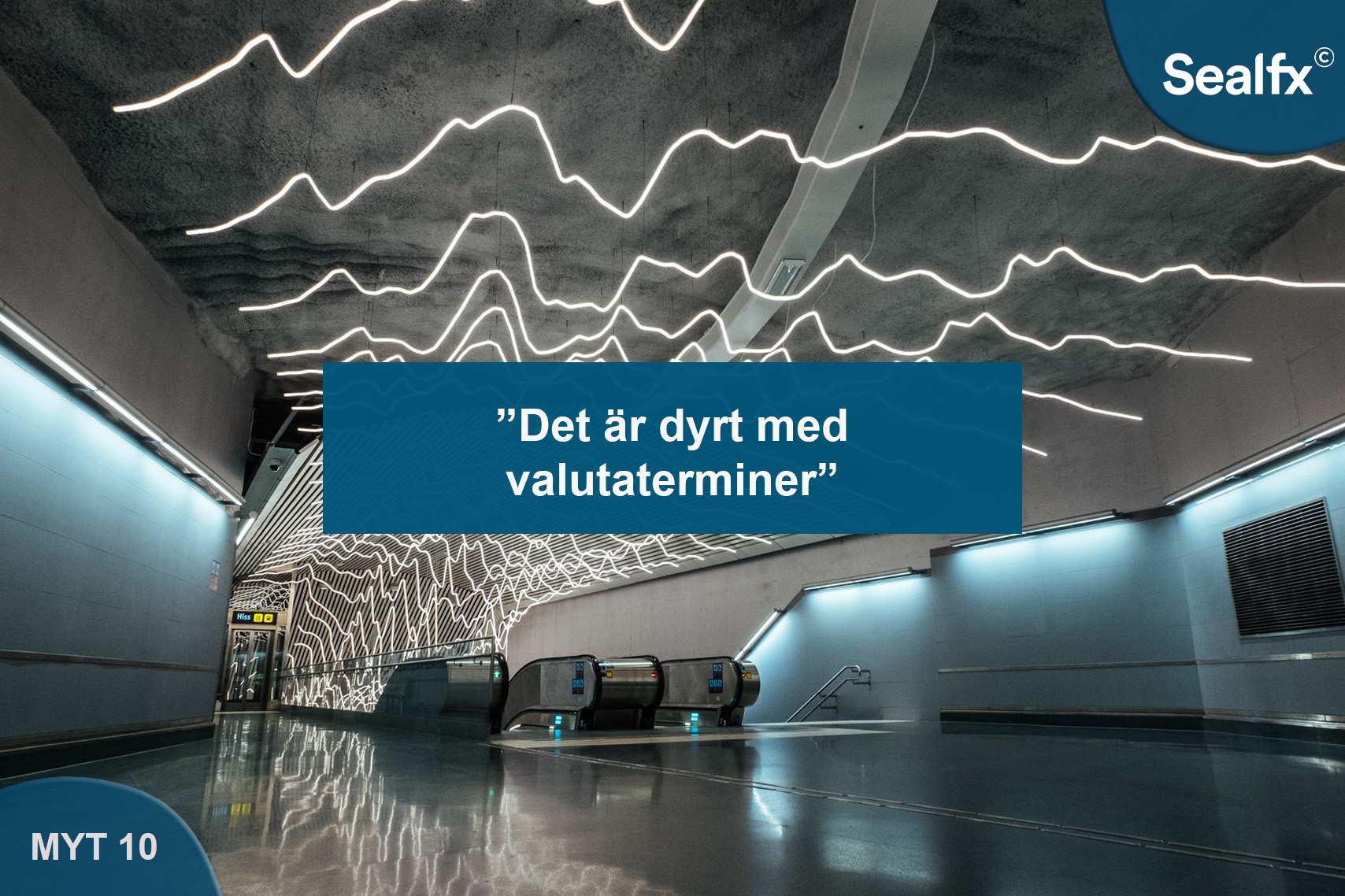 myt10.jpg
