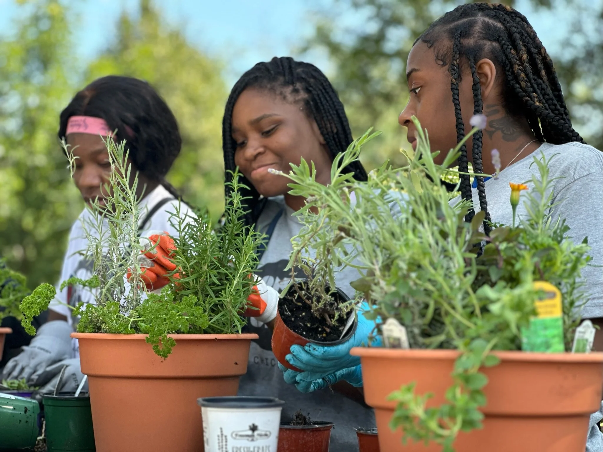 More Than Just A Garden: Empowering Tomorrow’s Landscape Professionals With Mariani Landscape