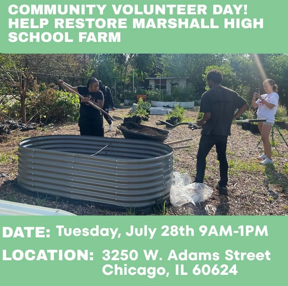 🌼 COMMUNITY VOLUNTEER DAY IN OUR GARDEN 🌱🌱🌱

Roll up your sleeves and join us this Tuesday, July 28 from 9 AM&ndash;1 PM as we come together to restore Marshall High School Farm on the West Side. The site is where our interns have been working ha