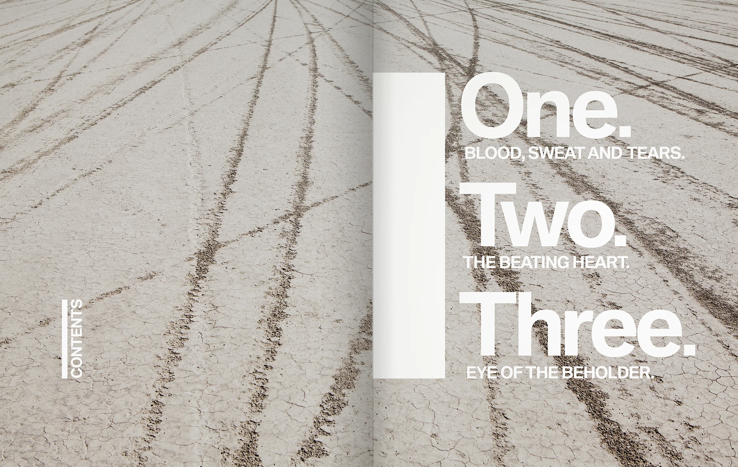 Kerry_Roper_BMW_Brand_Book_04.jpg