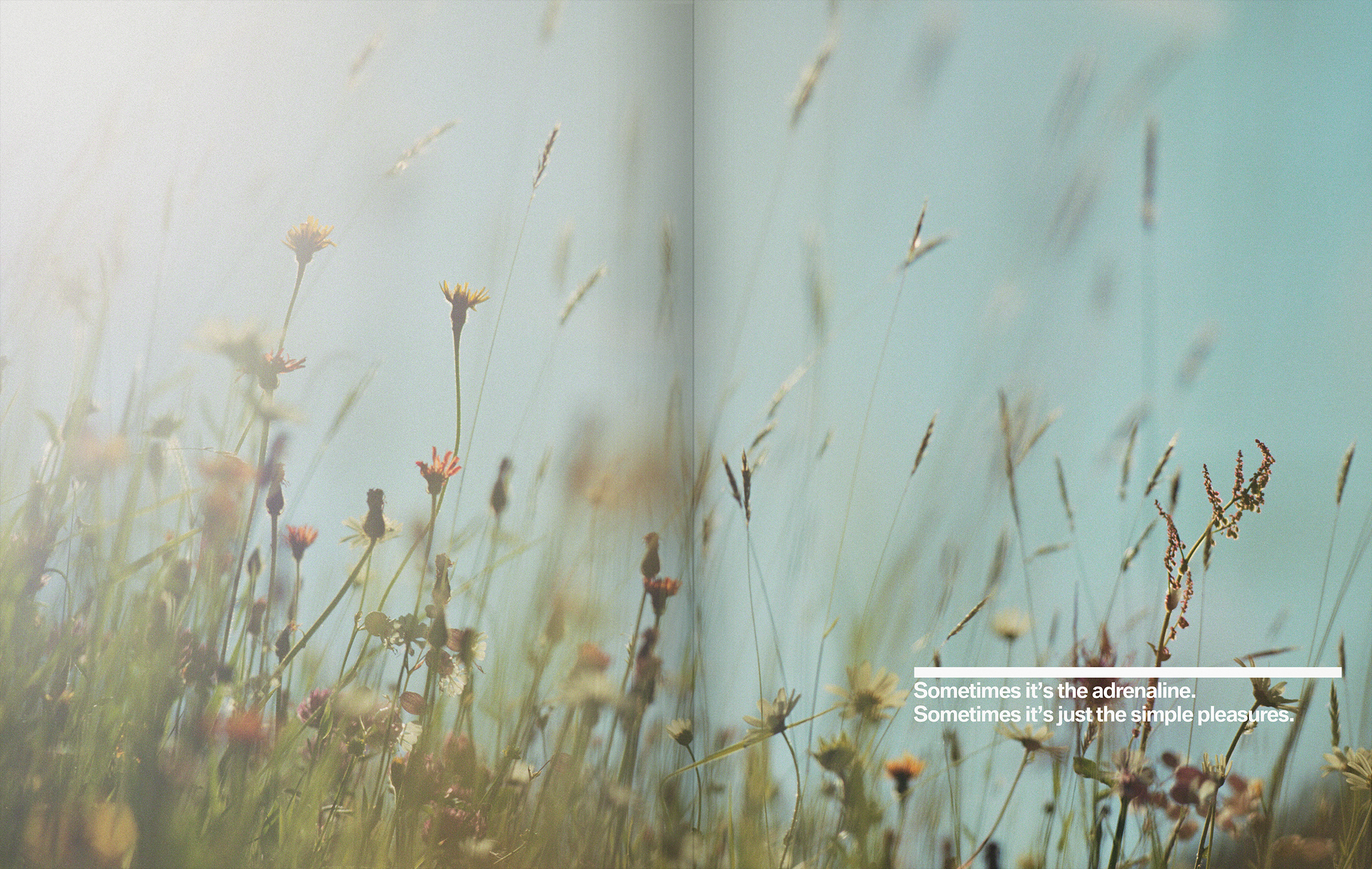 Kerry_Roper_BMW_Brand_Book_54.jpg