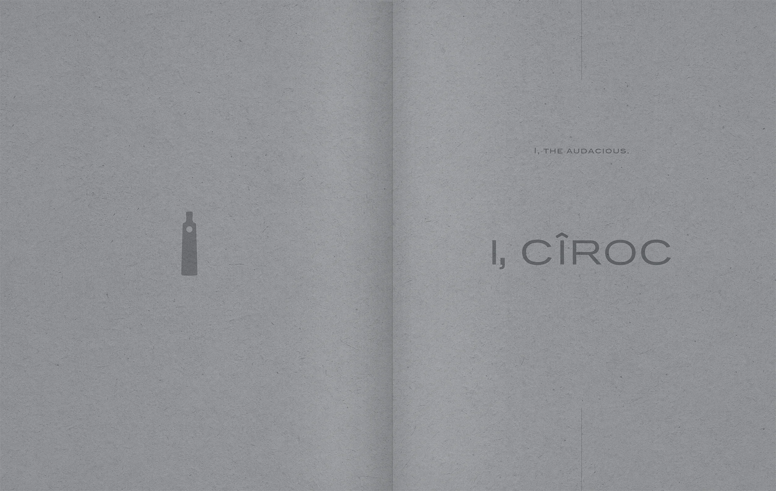 Kerry_Roper_0016_Ciroc_Brand_Book_17.jpg