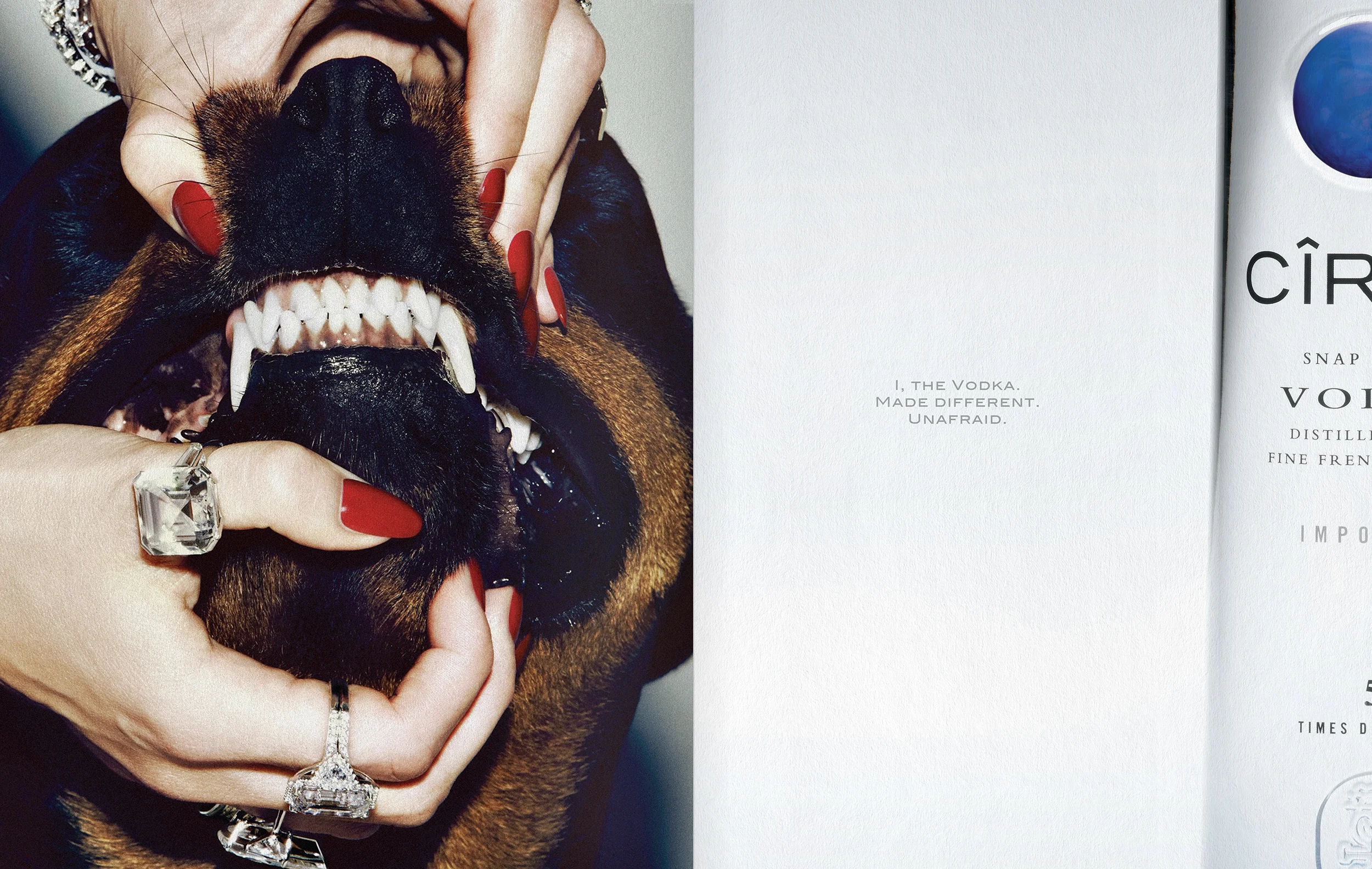 Kerry_Roper_0012_Ciroc_Brand_Book_13.jpg
