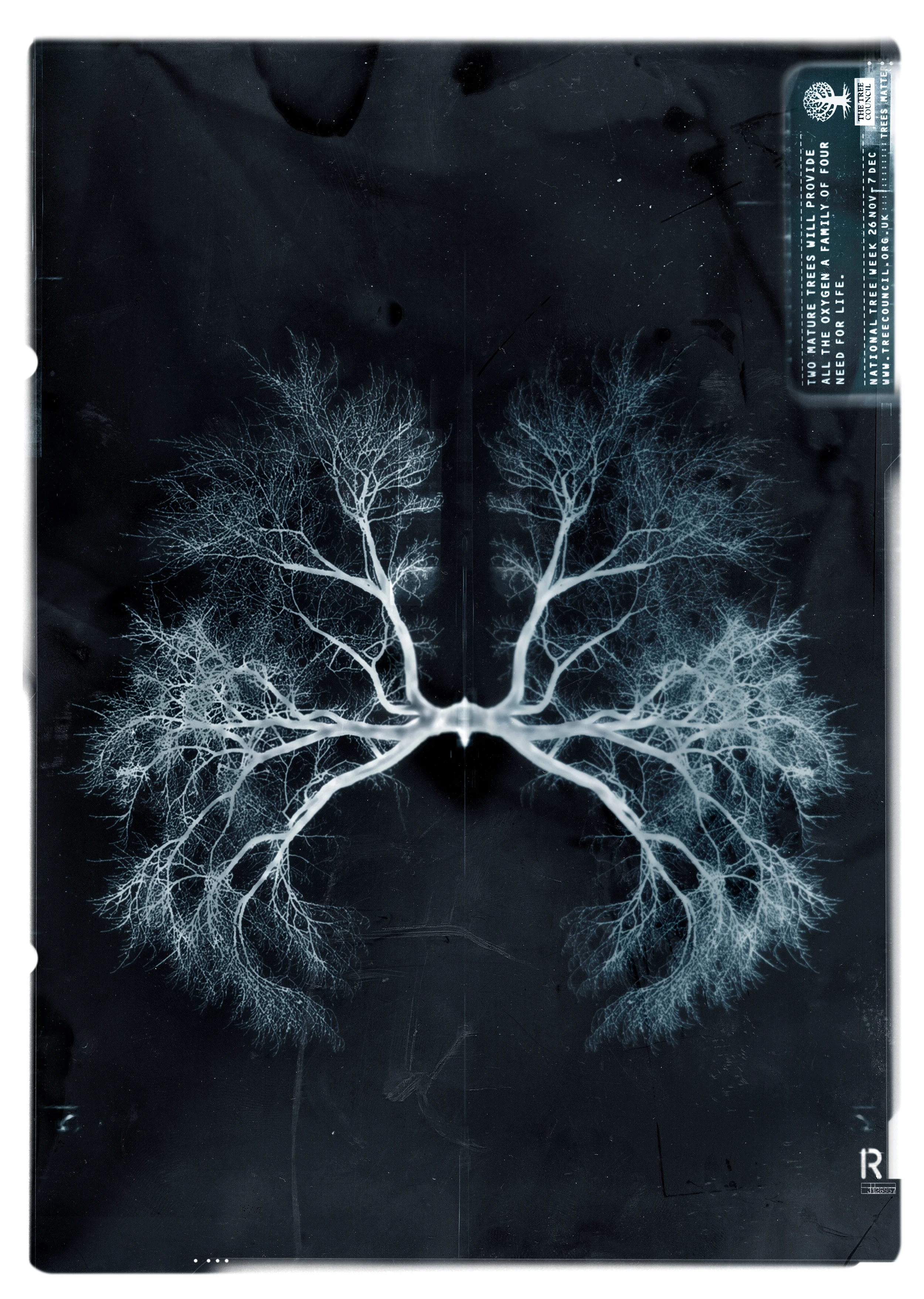 Kerry_Roper_Tree_Council_Ad_02.jpg