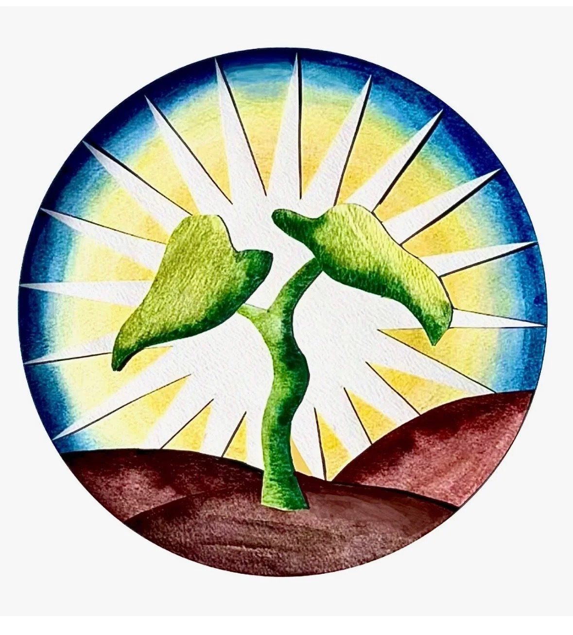 Sweetwater Organic Community Farm