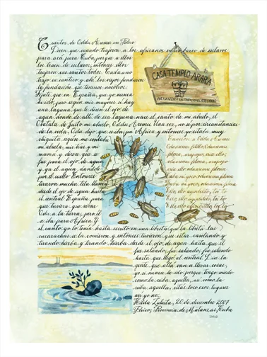 The Cockroach Manuscript72x7.jpg