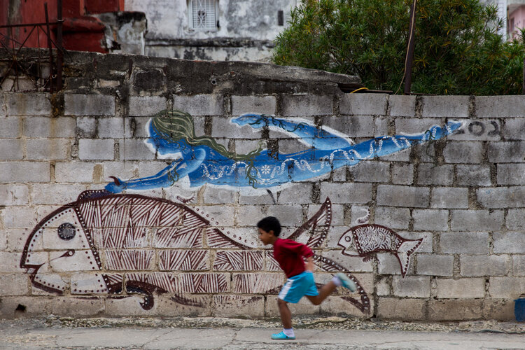 Cutler_lisa_Cuba_Boy+Chasing+a+fish_2016_jpg.jpg