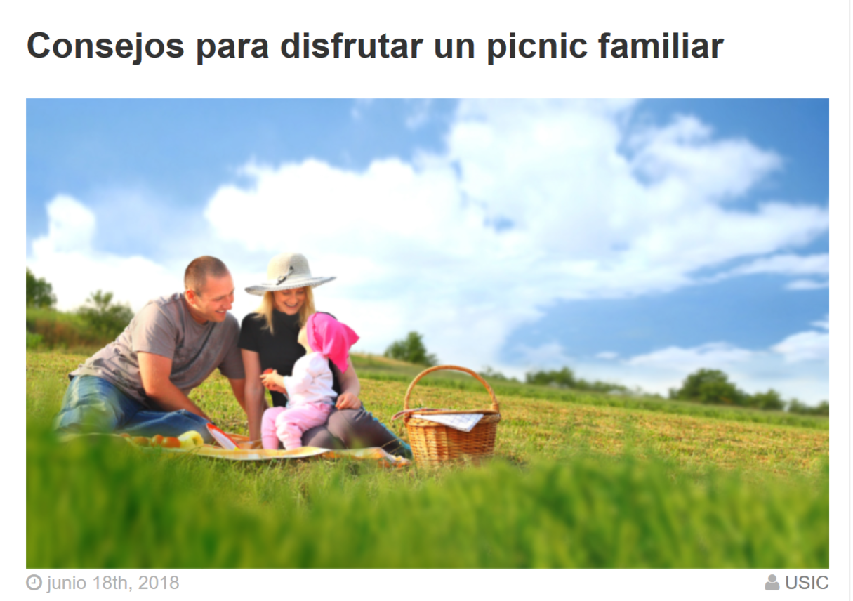 picnic.PNG