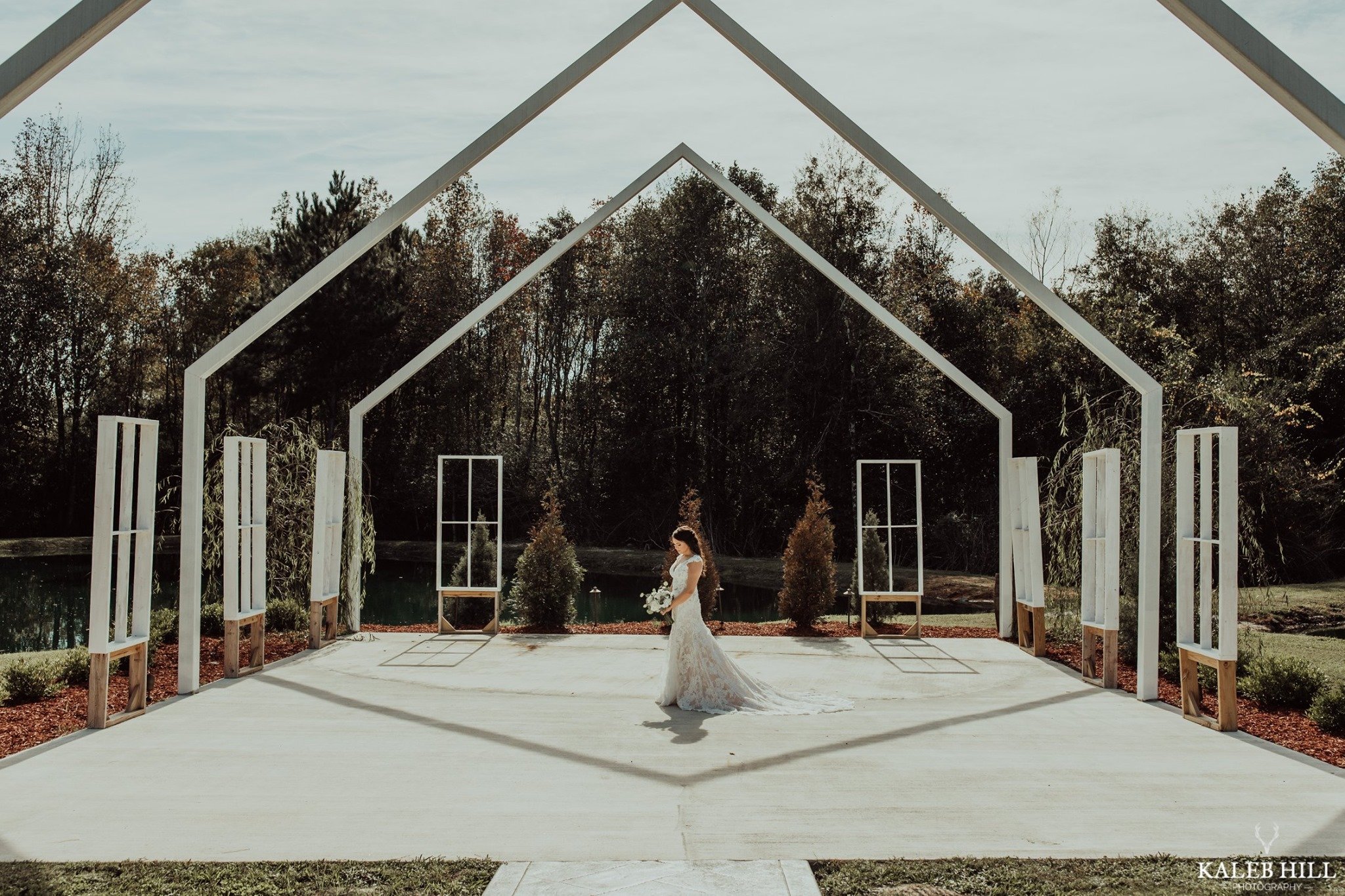 BlueberryPeaceFarm-Runnels7.jpeg