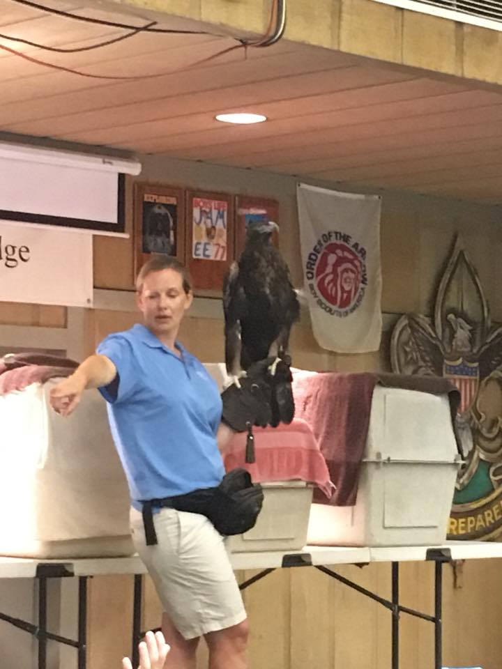 35738967_1936314446393050_6958338316534022144_n.jpg