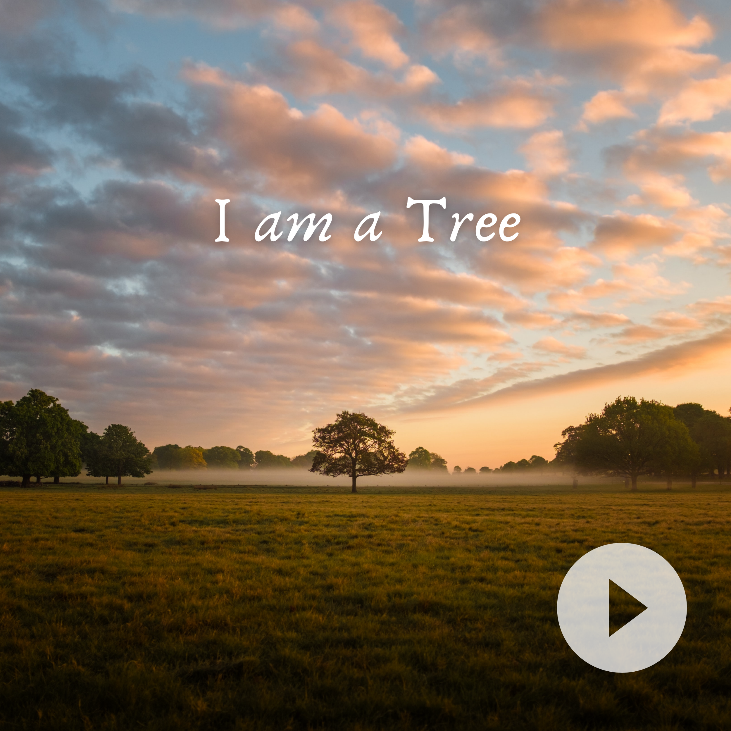I Am a Tree