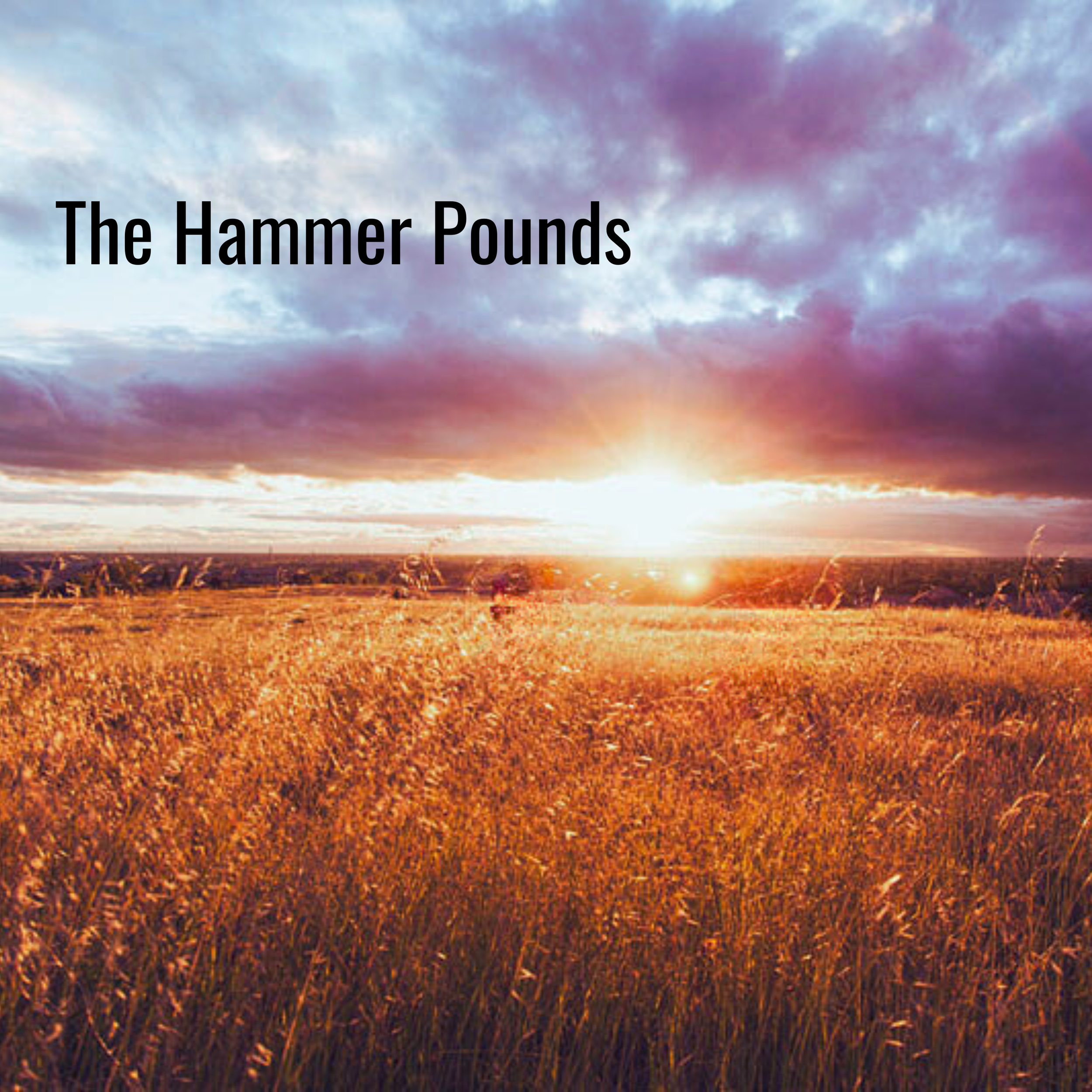 The Hammer Pounds