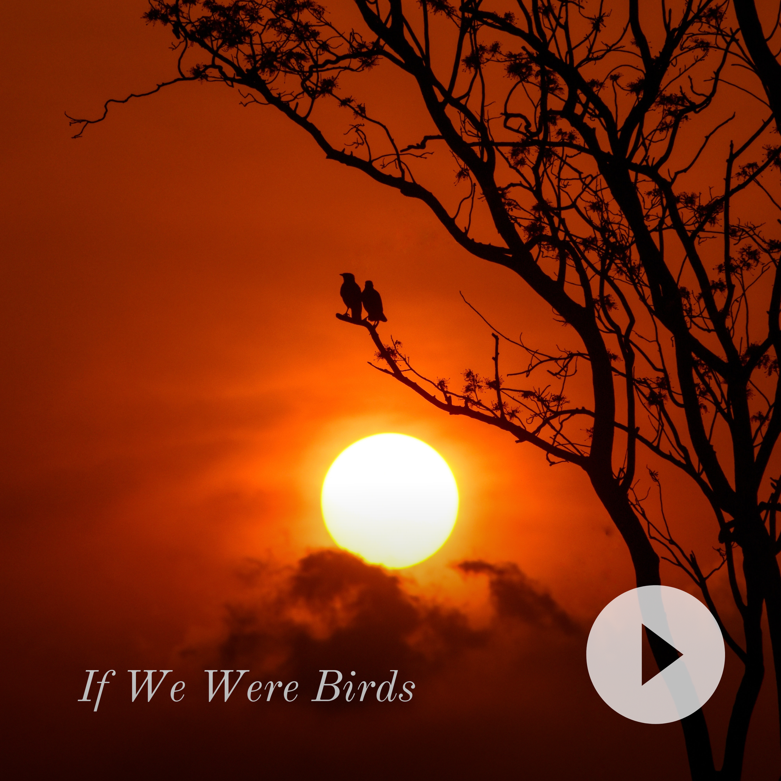 If We Were Birds