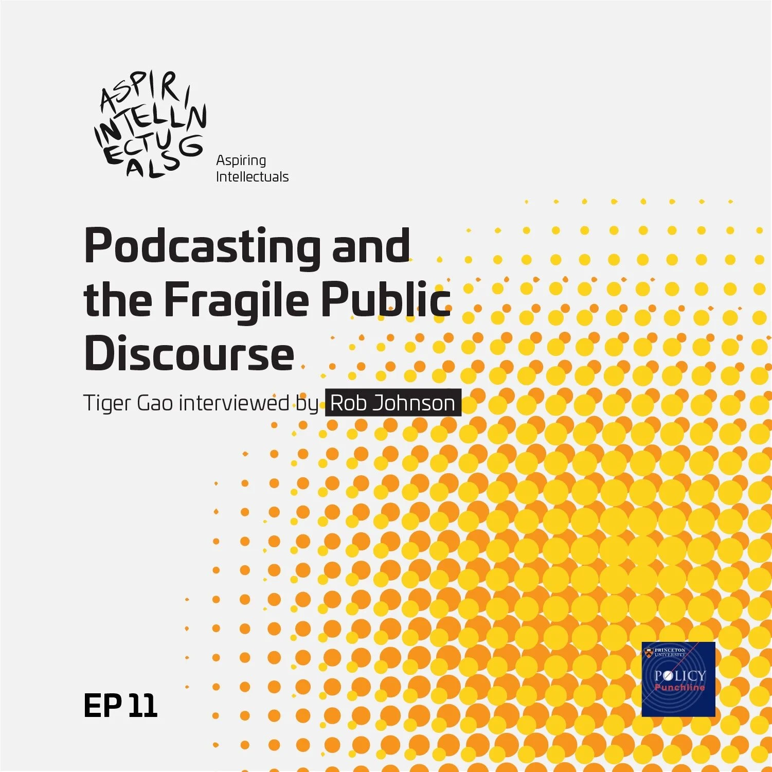 Podcasting and the Fragile Public Discourse - Tiger Interviewed by Rob Johnson