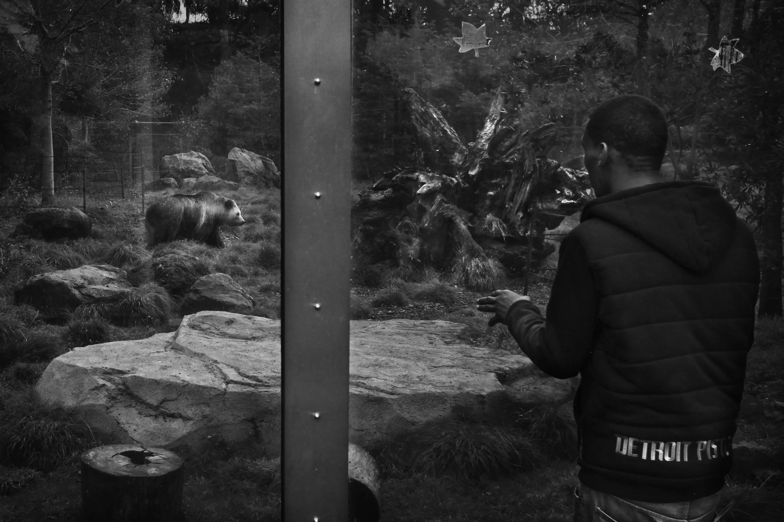  Shanon looks at the bear enclosure at the San Francisco zoo during his daughter's 3rd birthday celebrations. 