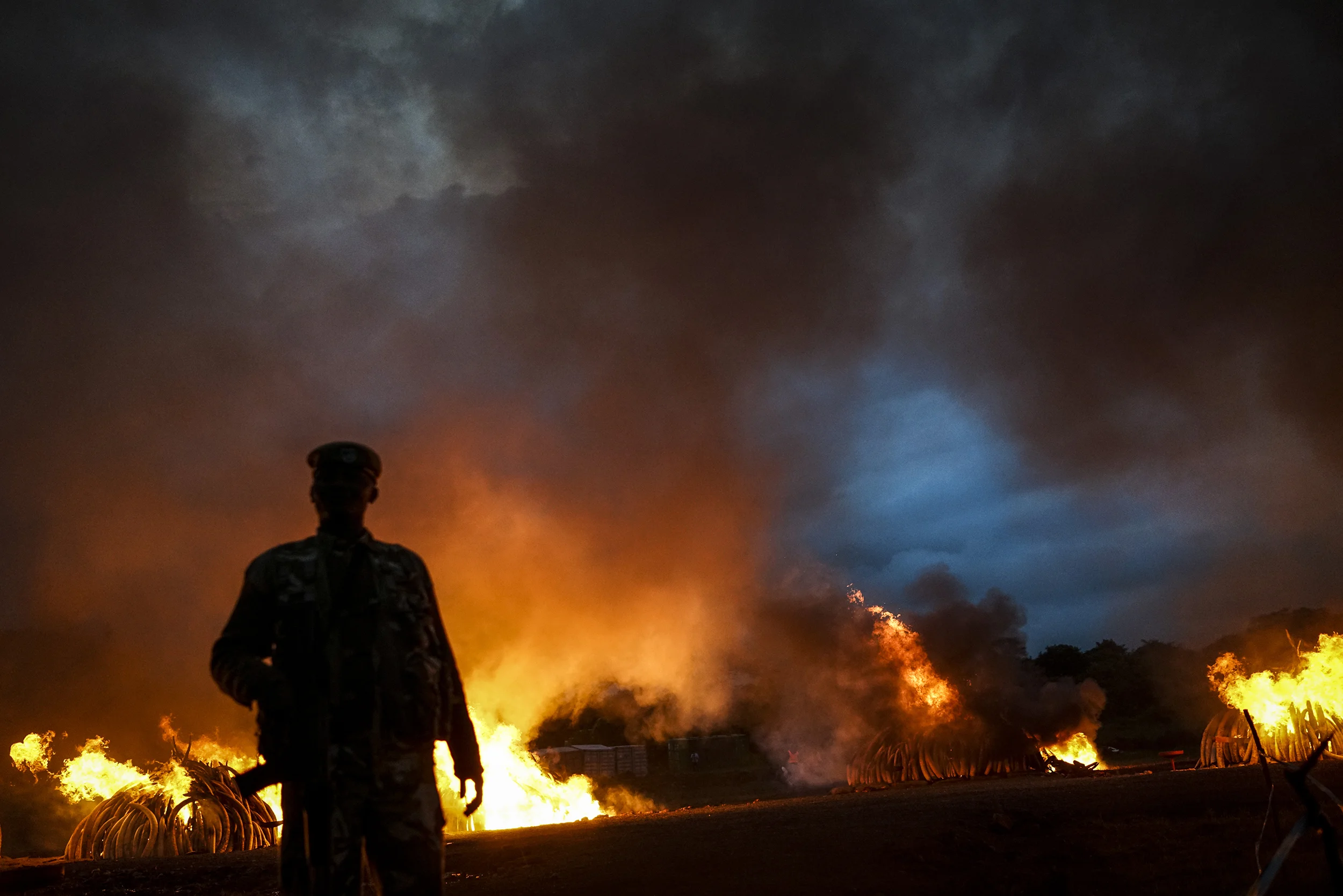 Wildlife Services rangers stand guard near the Ivory burning site in Nairobi Kenya on April 30th 2016. More than 100 tonnes of ivory were burnt to promote protecting endangered elephants.