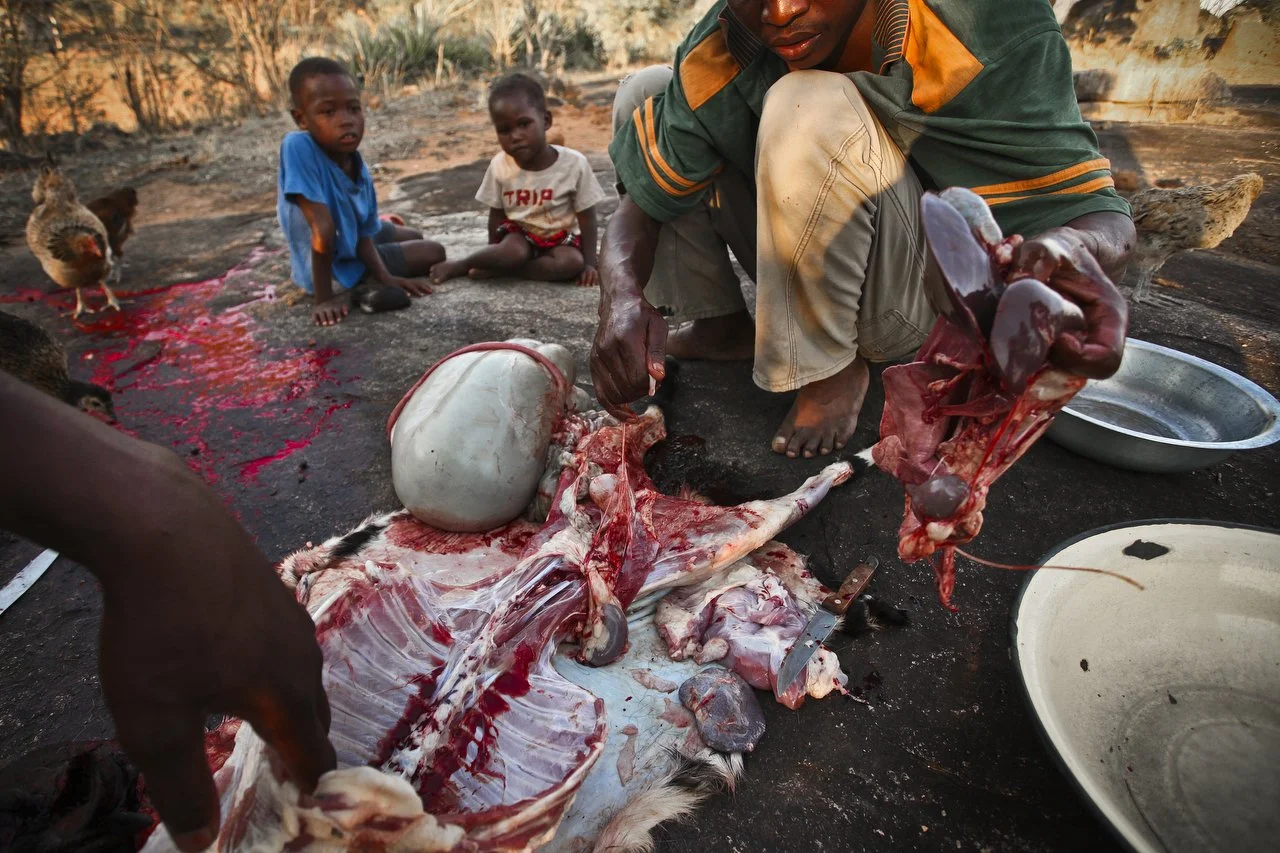  Reymond Mapakata and his friends slaughter a goat for dinner in his village, located in the region of Bakita in Zimbabwe. The village is about a 40 minute hike from the closest shops. Thousands of Zimbabwean refugees crossed the border to South Afri