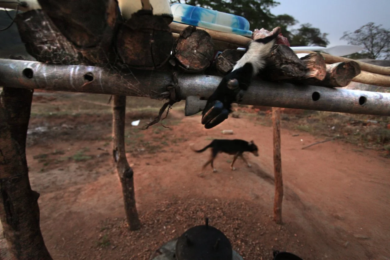  A drying rack in a village, located in the region of Bakita, in Zimbabwe. The village is about a 40 minute hike from the closest shops. Thousands of Zimbabwean refugees crossed the border to South Africa to escape political turmoil, lack of food and