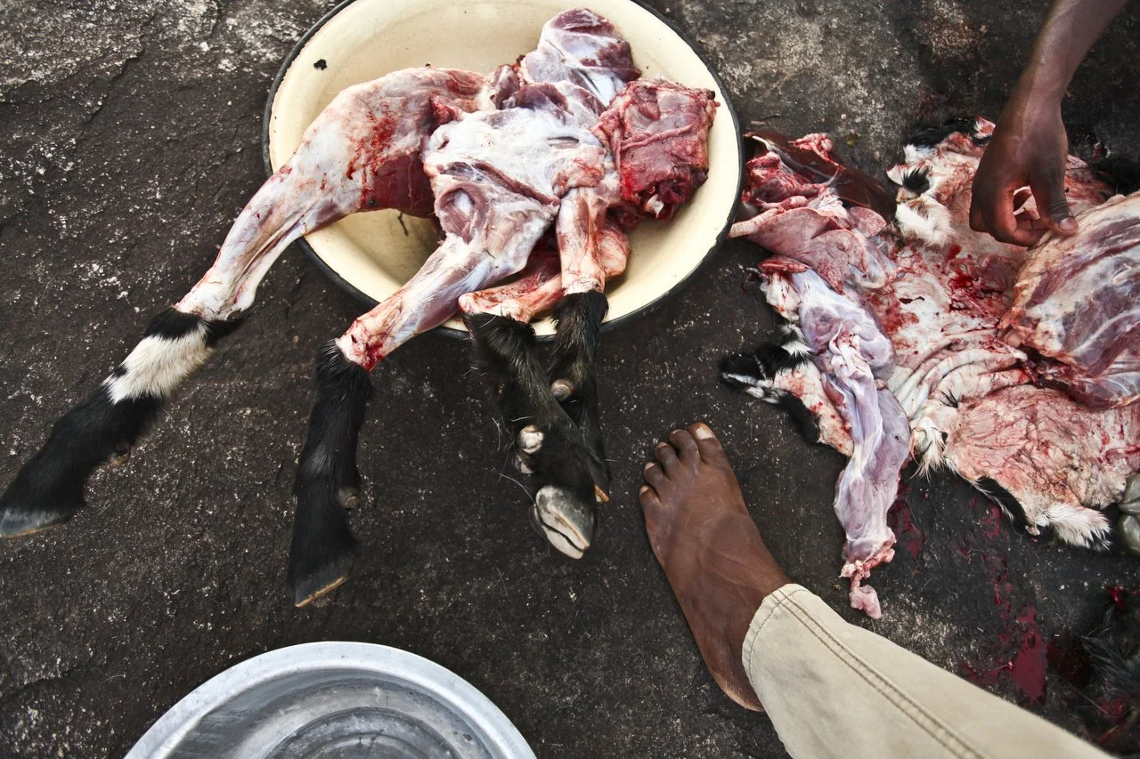  Reymond Mapakata and his friends slaughter a goat for dinner in his village, located in the region of Bakita in Zimbabwe. The village is about a 40 minute hike from the closest shops. Thousands of Zimbabwean refugees crossed the border to South Afri