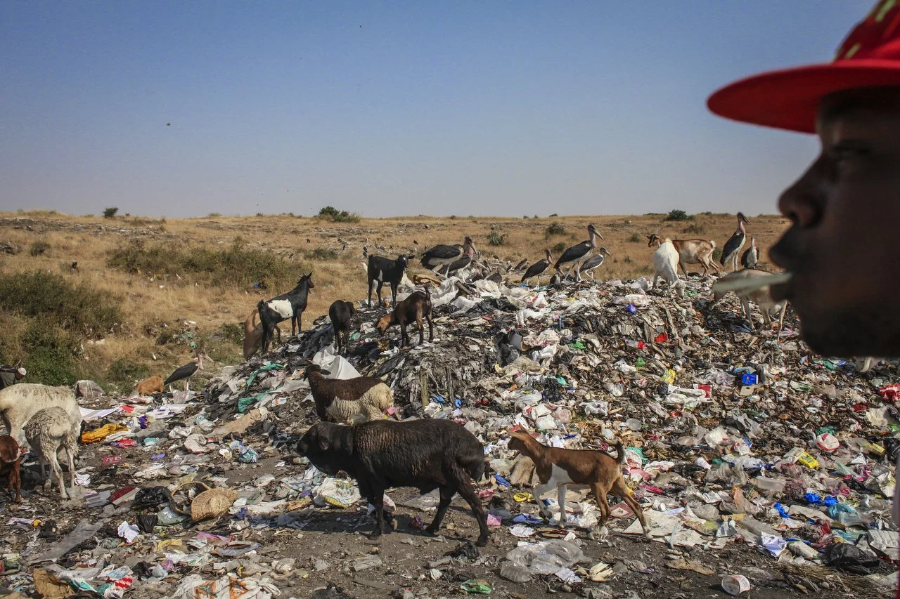  With Nairobi's pulsating population, growth municipal waste management has become increasingly relevant over the past years. With the huge influx of waste, several livelihoods depend on separating collecting and selling waste such as plastic, electr