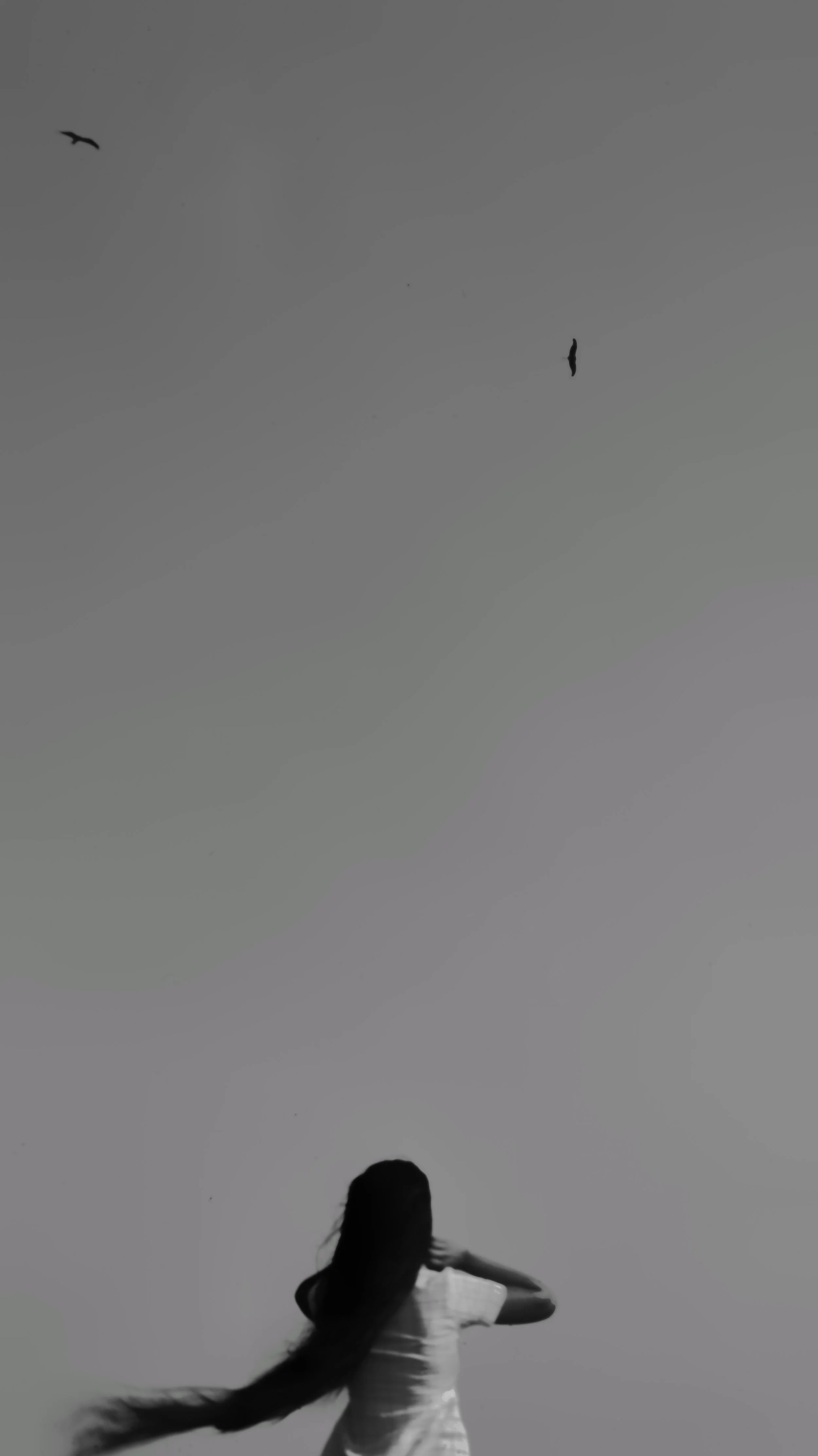 2.jpeg