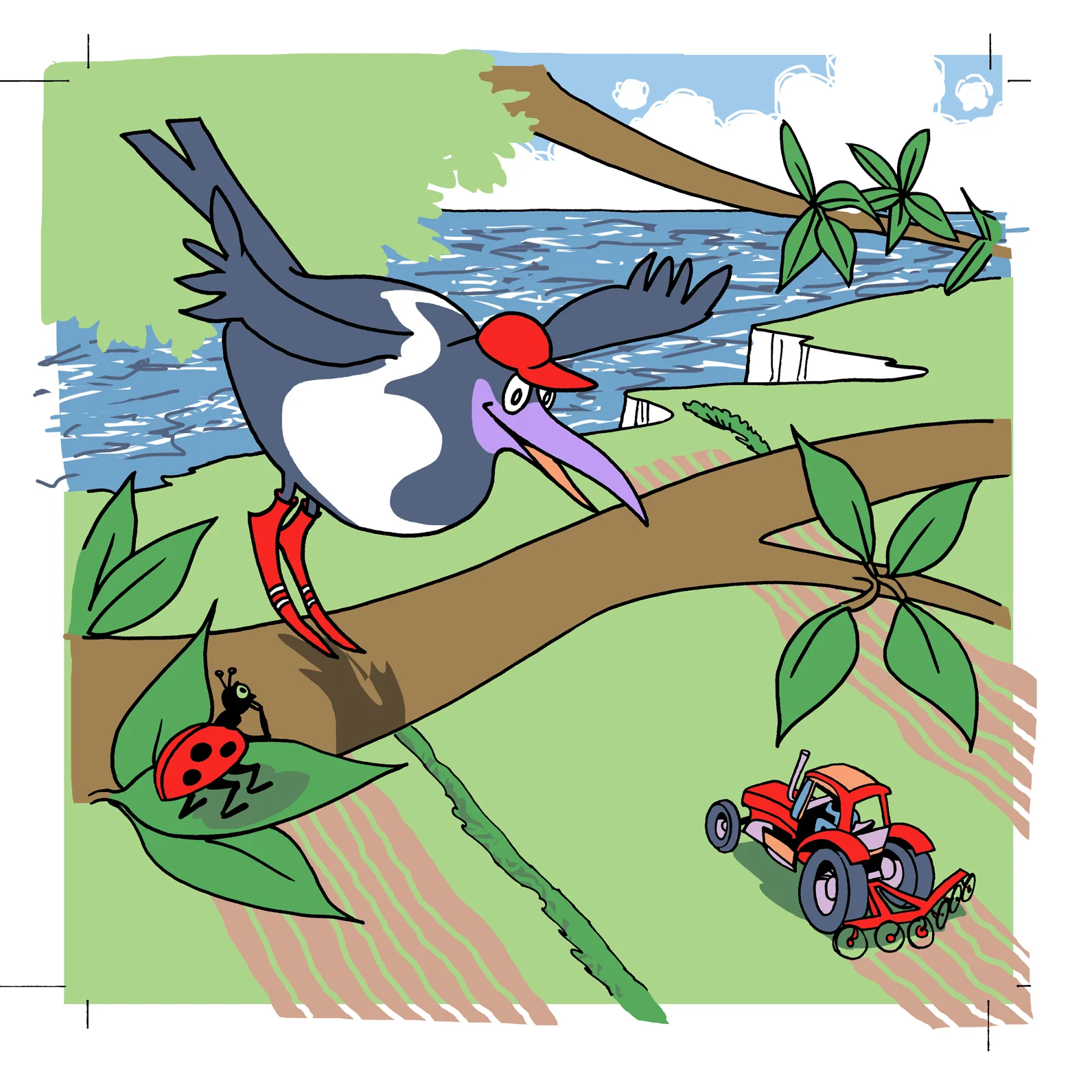 Magpie 8 Col-1.jpg