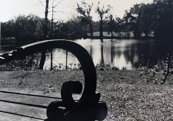 Photography__MardiGrasBaby_2.jpg