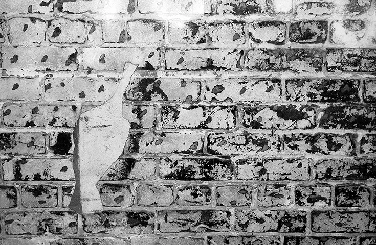 Photography_BrickWall.jpg