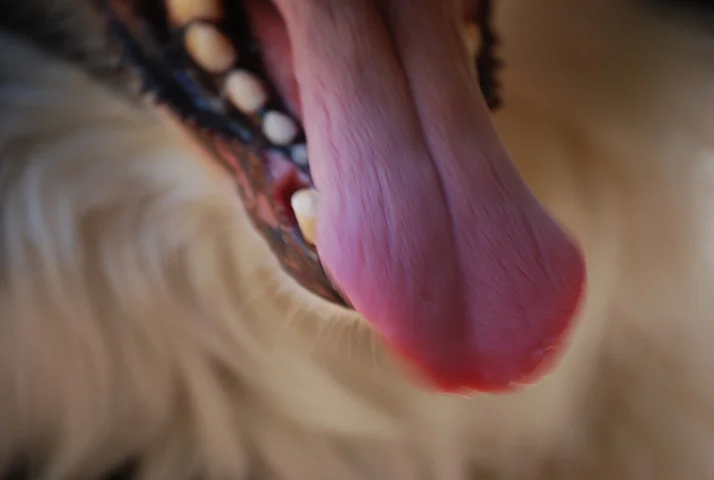 Photography_Ty_2.jpg