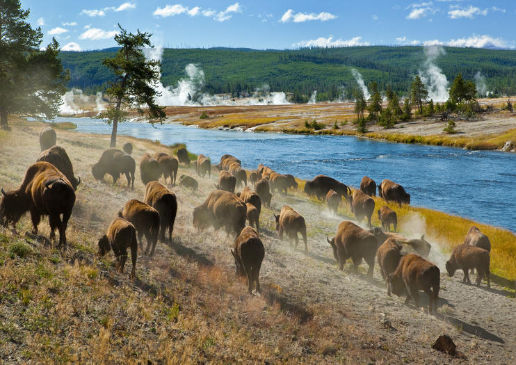 138994_JacksonHole_YellowstoneNationalPark_shutterstock_47311708.jpg