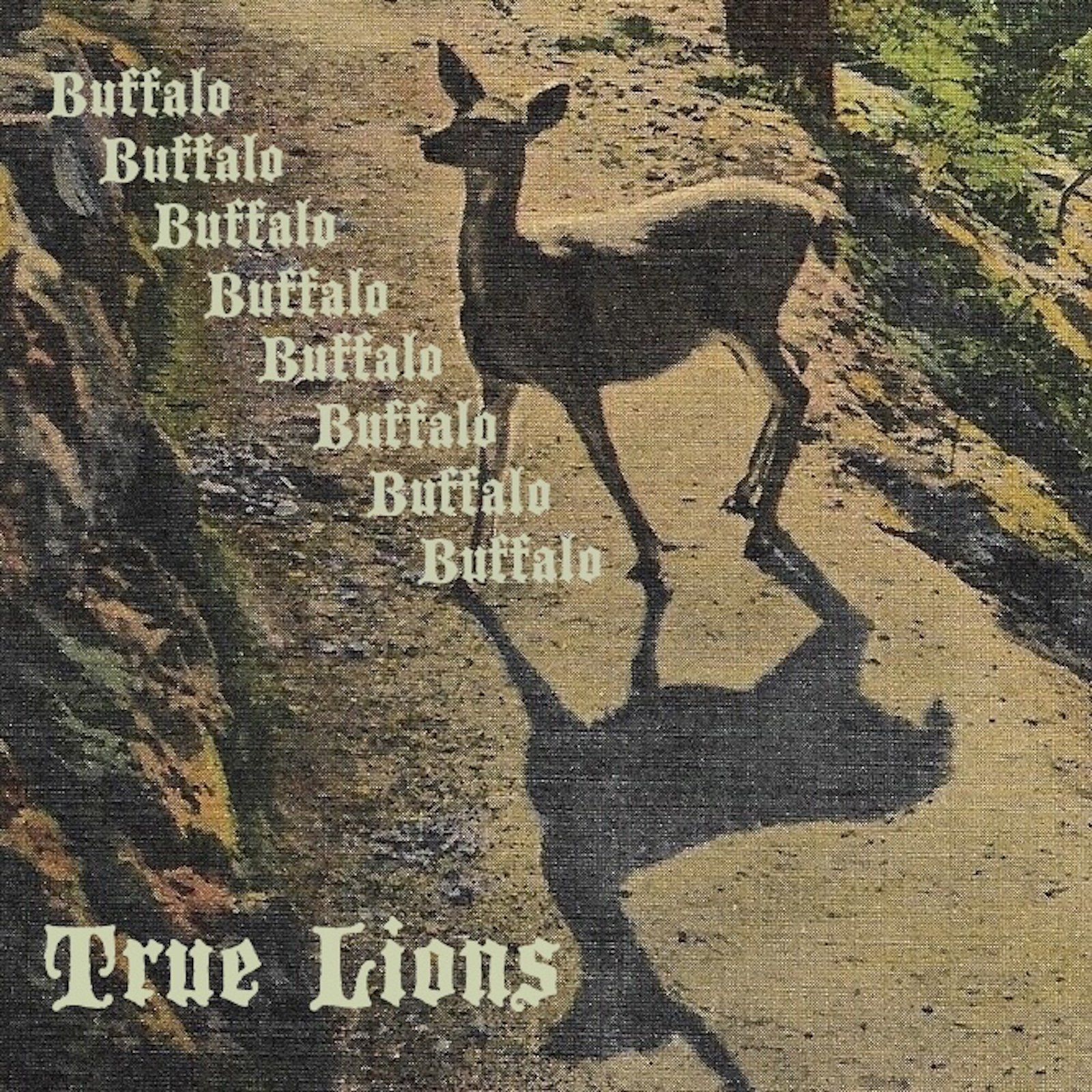 True Lions "Buffalo Buffalo Buffalo Buffalo Buffalo Buffalo Buffalo Buffalo" EP (2024)