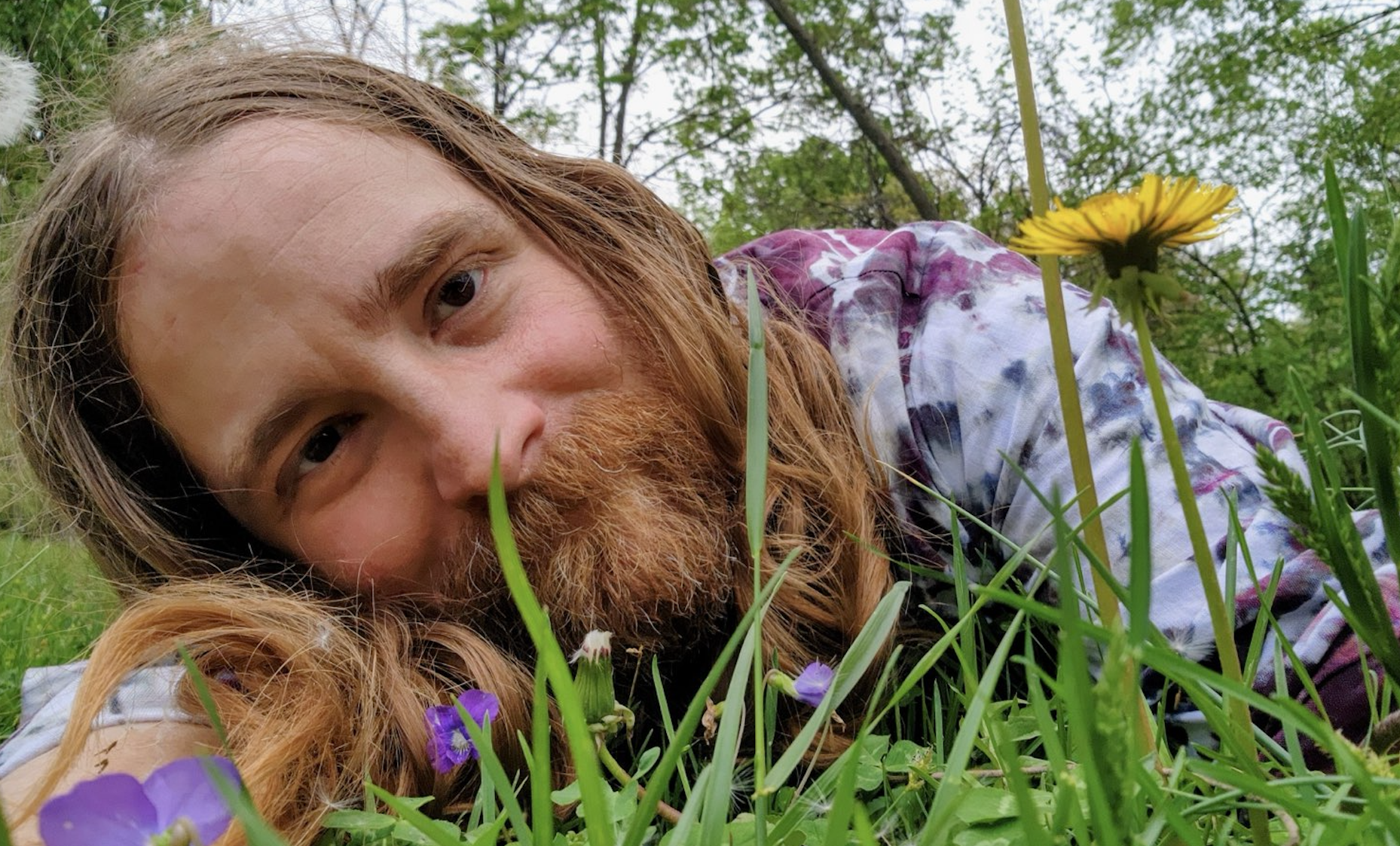 Dandelion Lakewood's Bowl of Dust