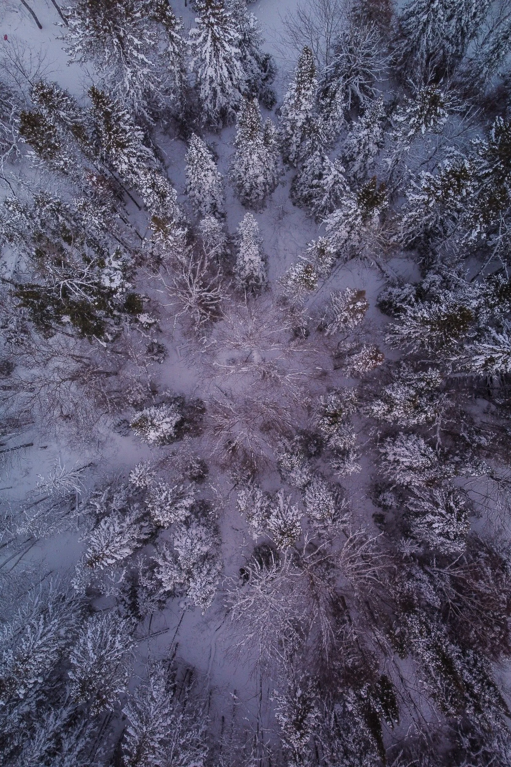 The Ember of Faith and the Flame of Love