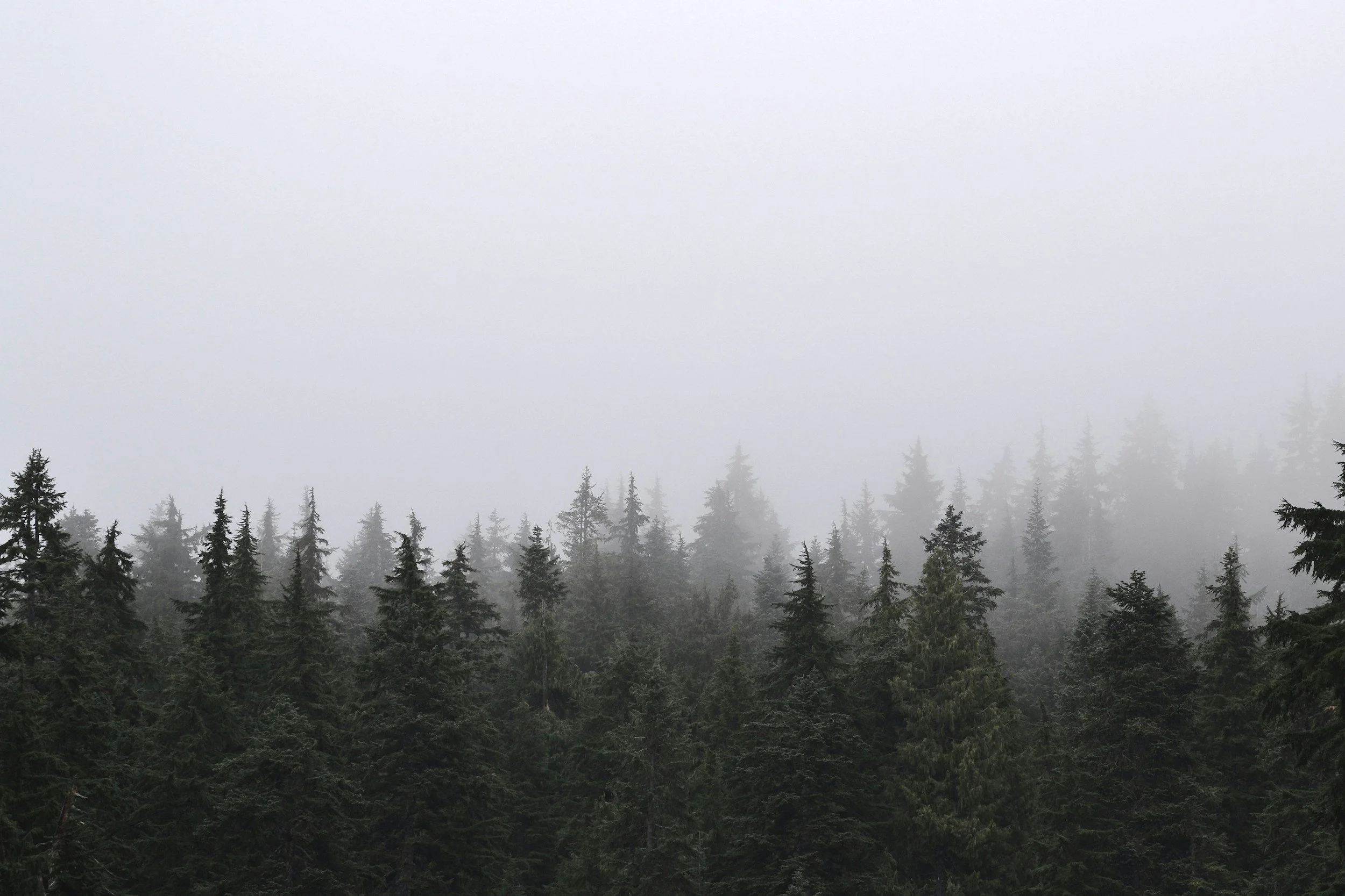 The Shadow of Listlessness: Overcoming with Patient Endurance