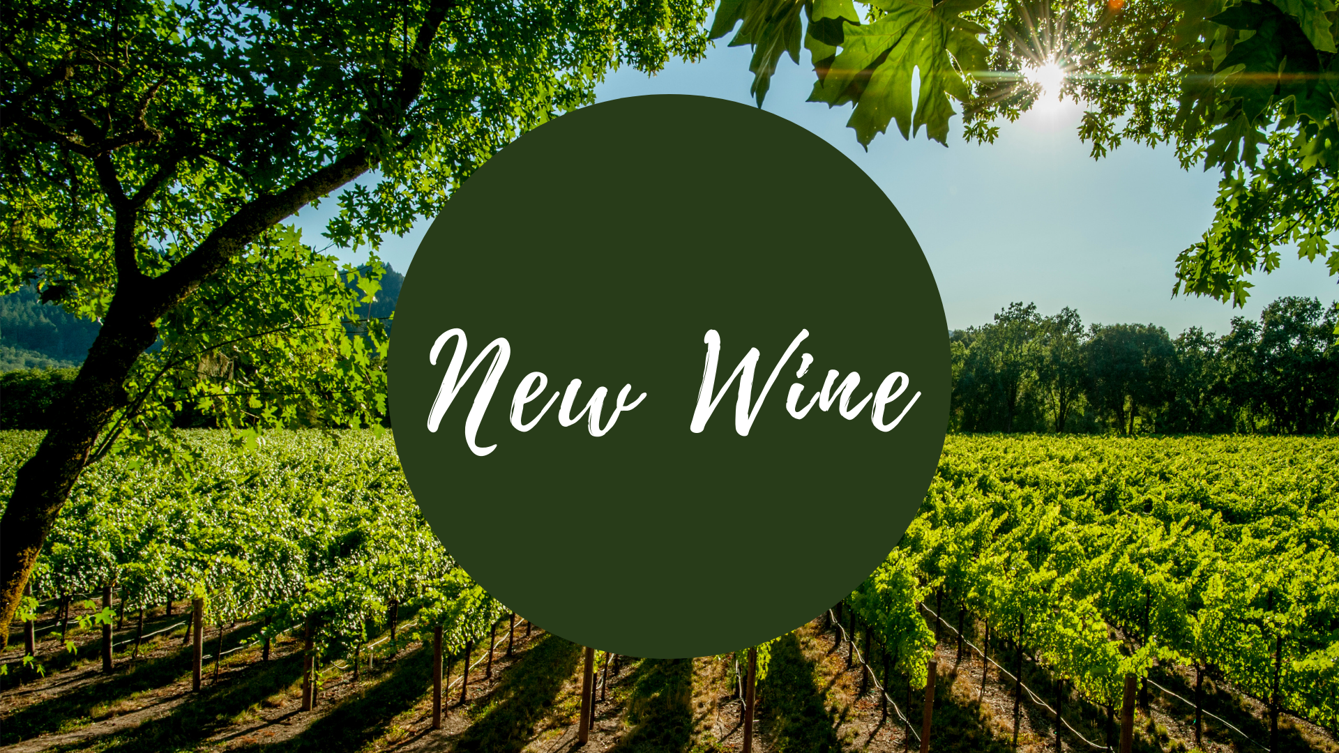 January 2024: New Wine