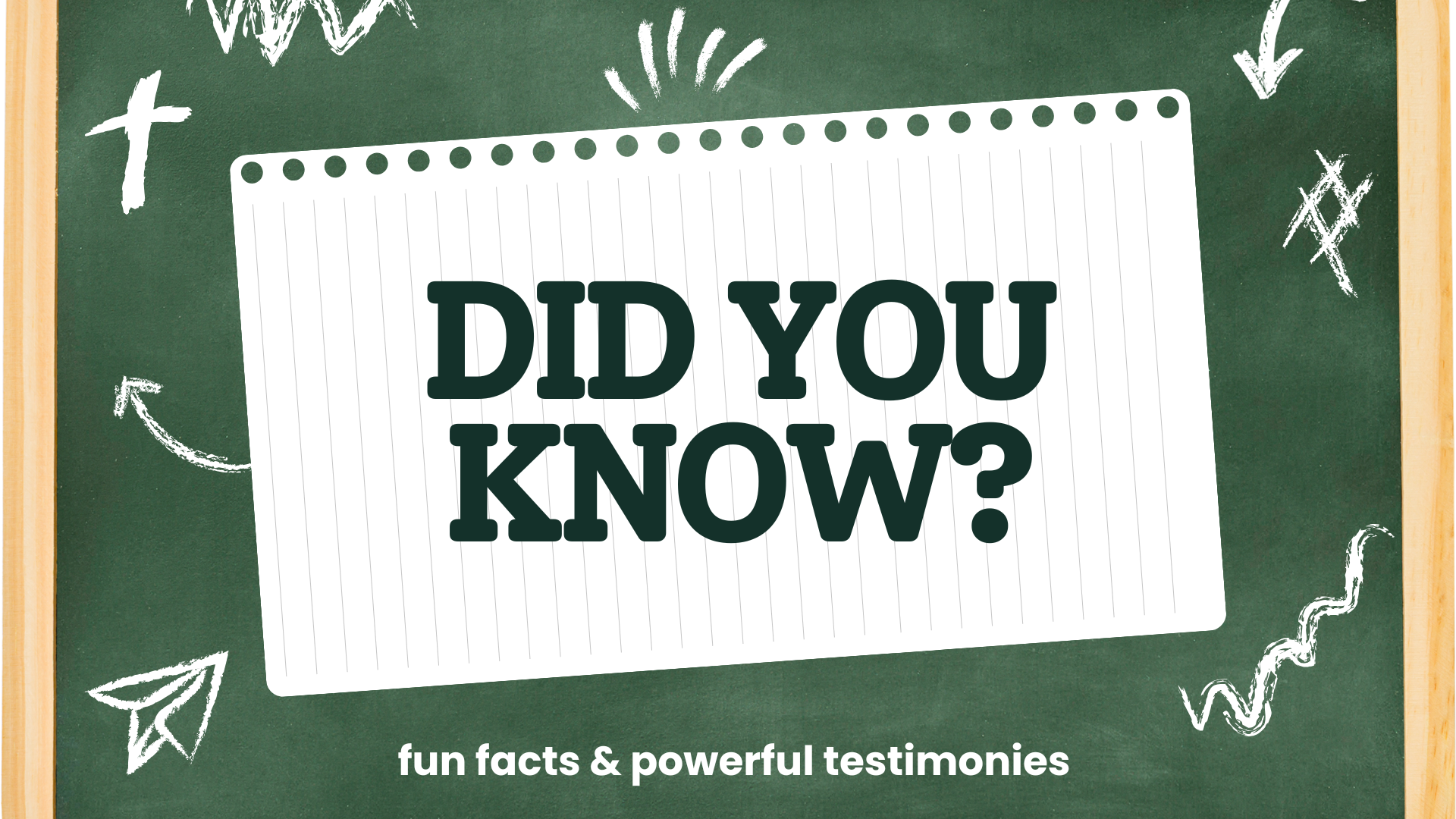 Summer 2025: Did You Know?