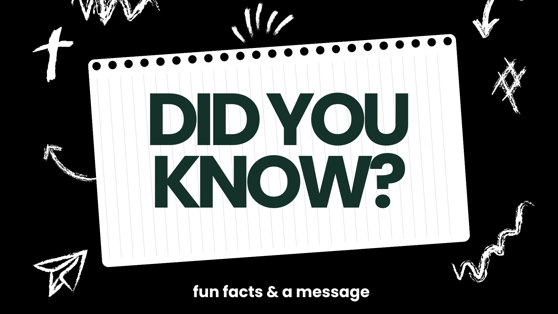 Spring 2026: Did You Know 2.0
