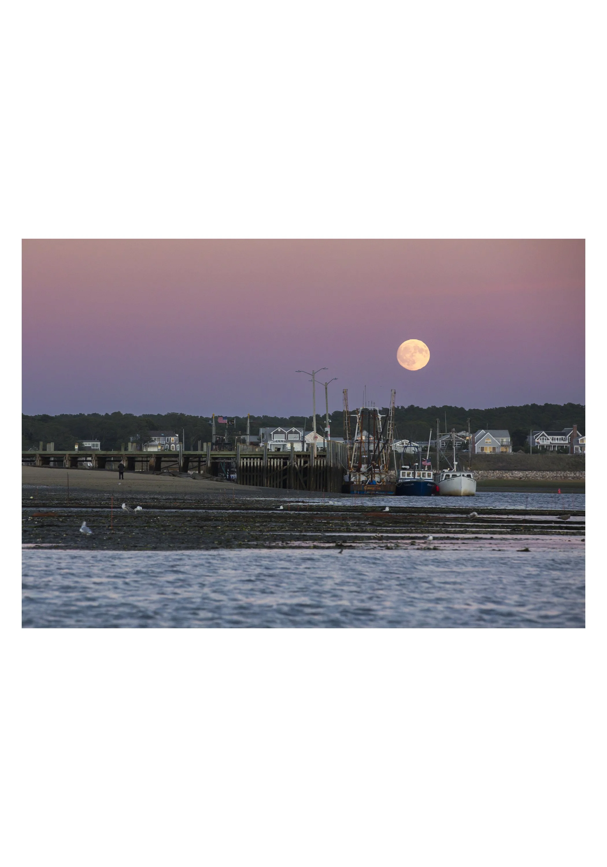 Moonrise Wellfleet by Julia Cumes - Cape Cod, Massachusetts
