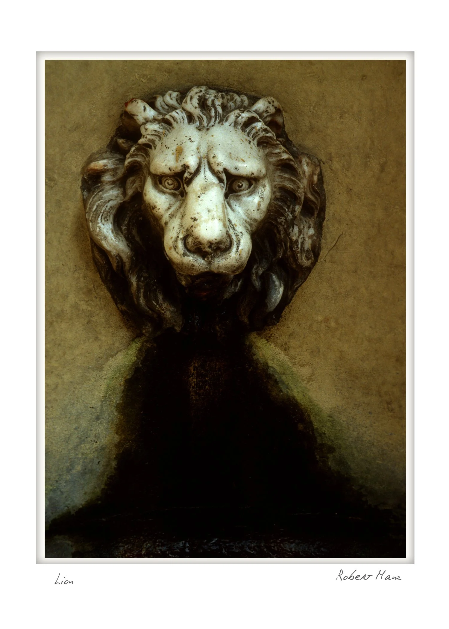 lion NOTECARD_5X7_vertical_rdm.jpg