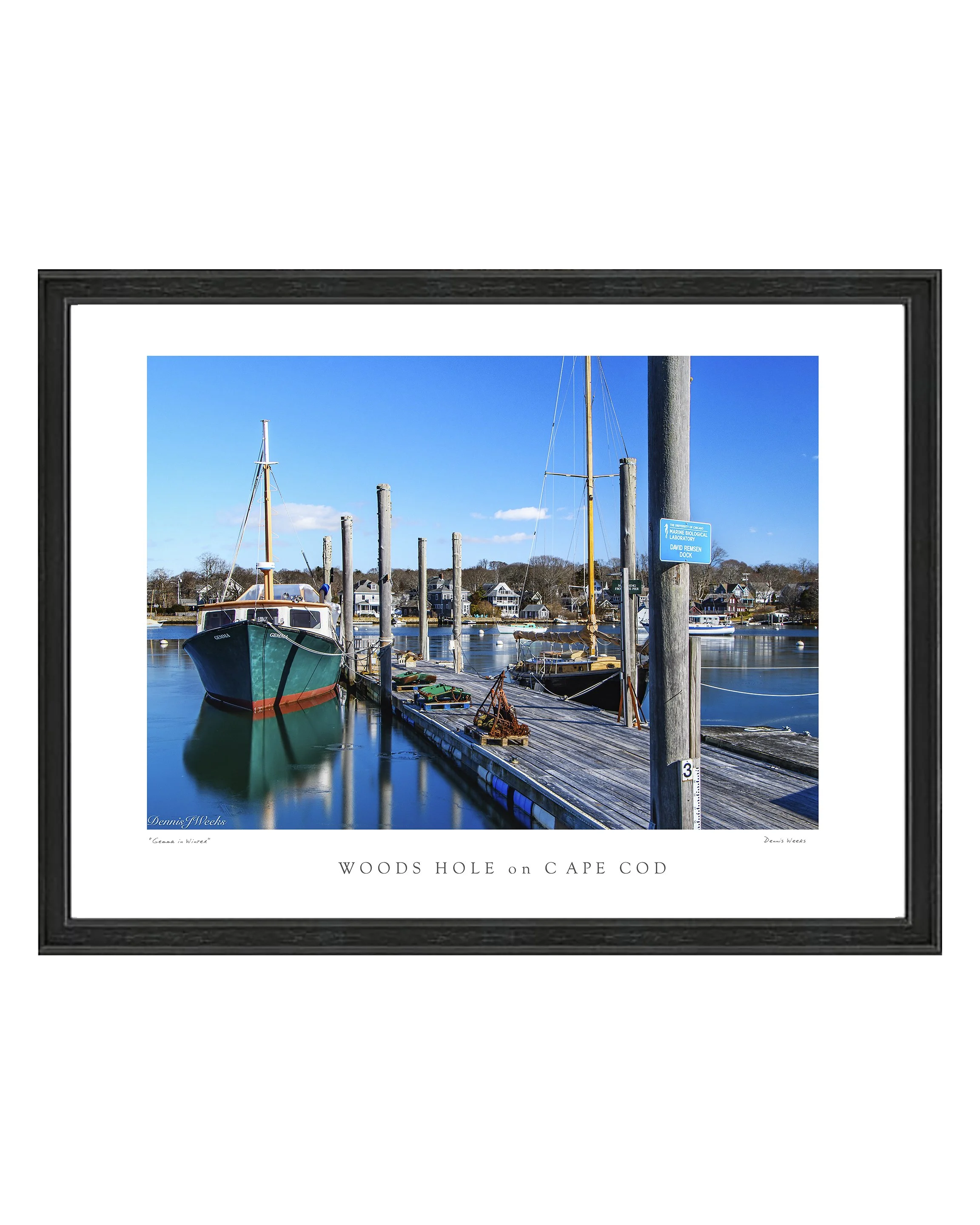 framed gemma web framed print .jpg