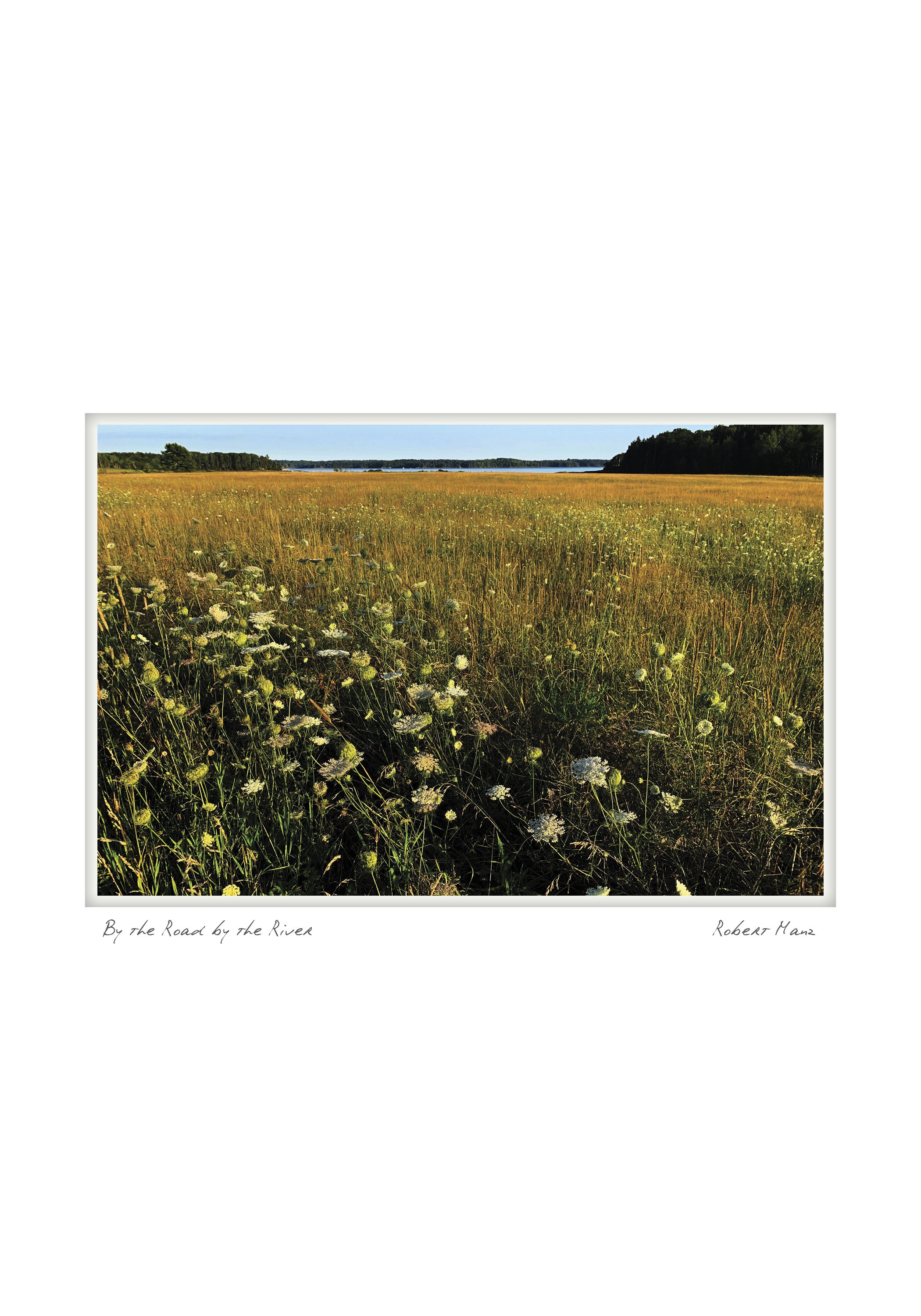 half by the road by the river NOTECARD_5X7_horiz.jpg