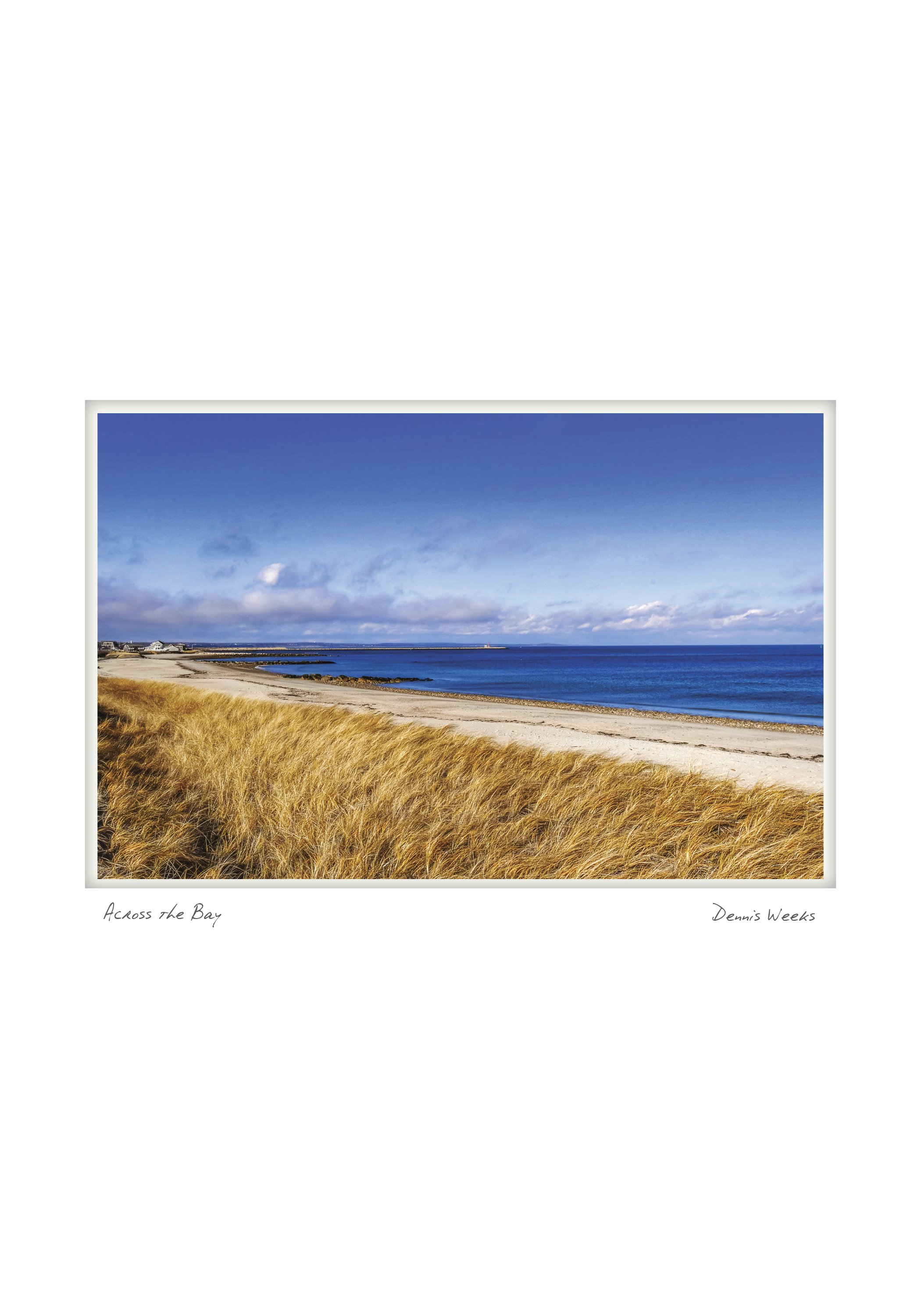SANDWICH NOTECARD_5X7_horiz.jpg