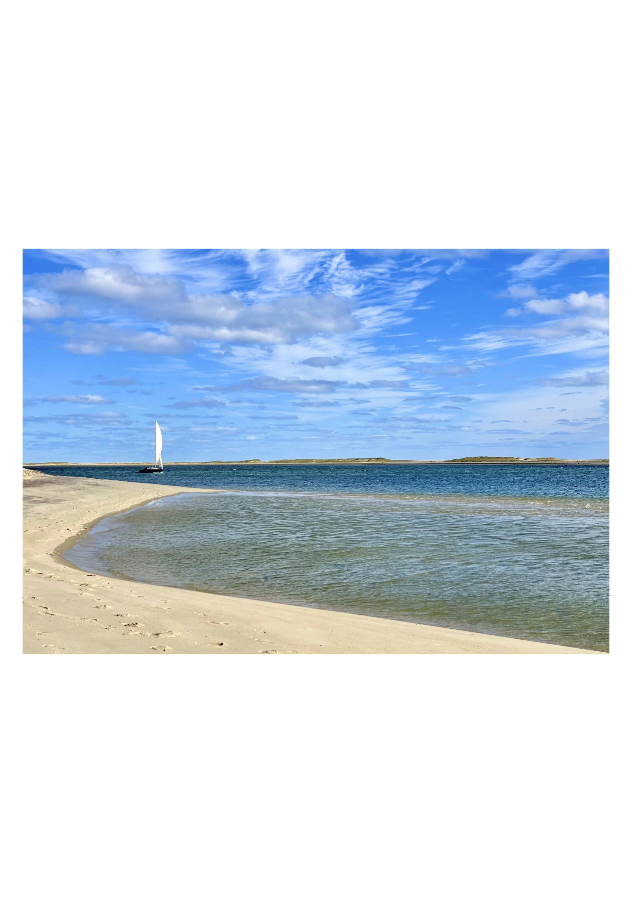Summer Sail by Julia Cumes - Cape Cod, Massachusetts
