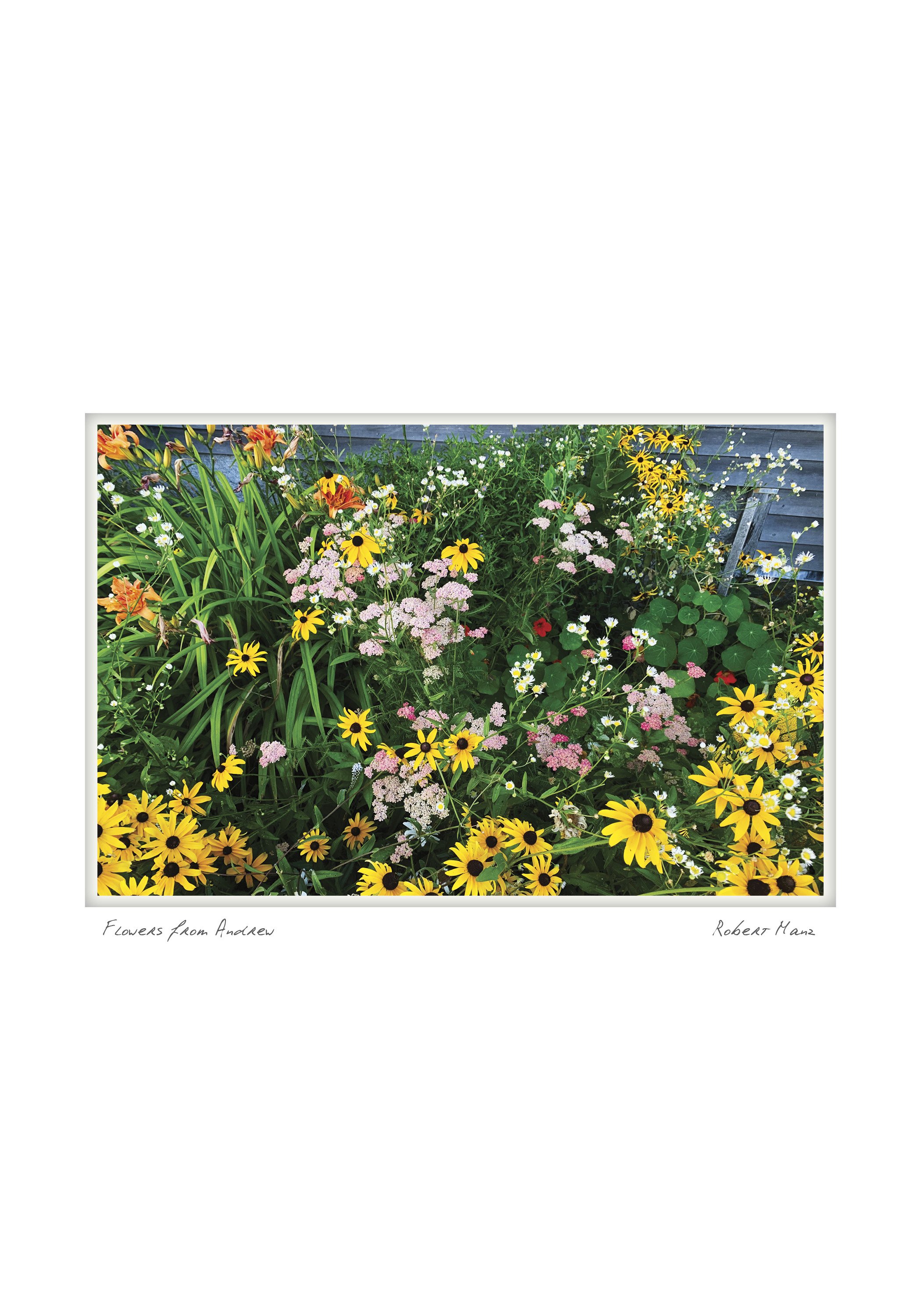 half flowers from andrew NOTECARD_5X7_horizontal.jpg